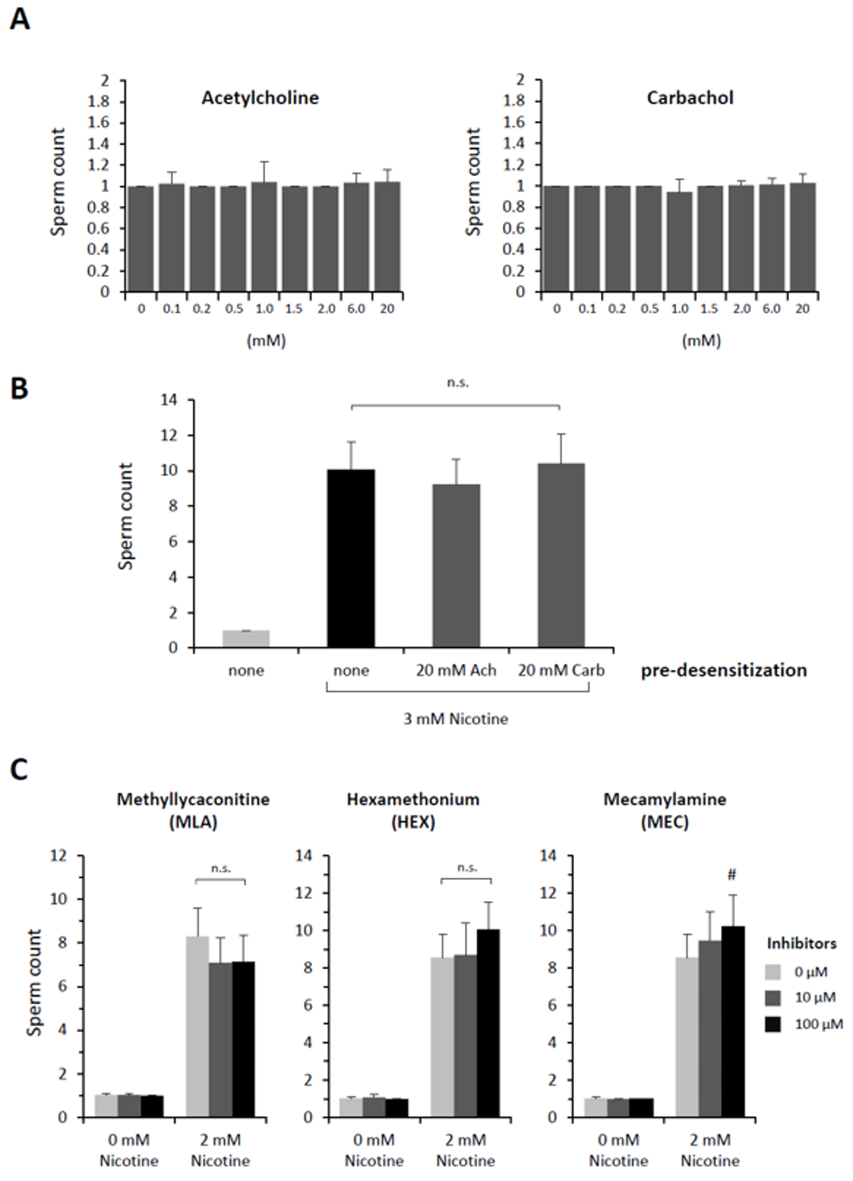 Cells 09 00063 g002 Cells 09 00063 g002