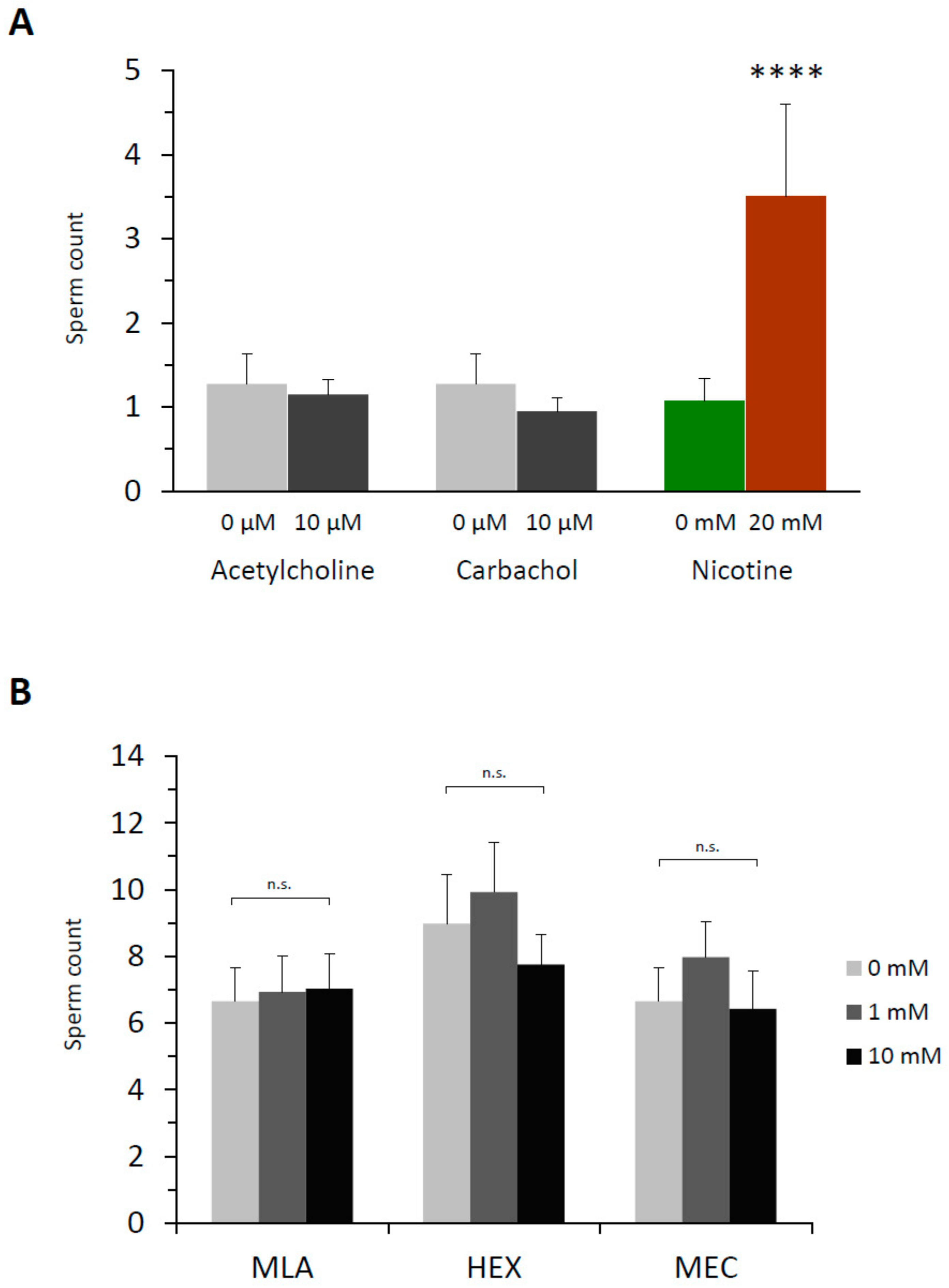 Cells 09 00063 g007 Cells 09 00063 g007