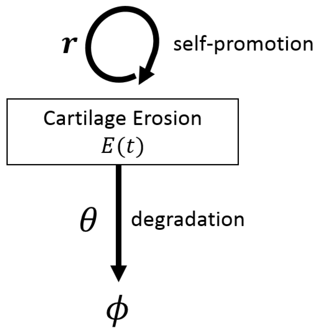 Cells 09 00074 g002 Cells 09 00074 g002