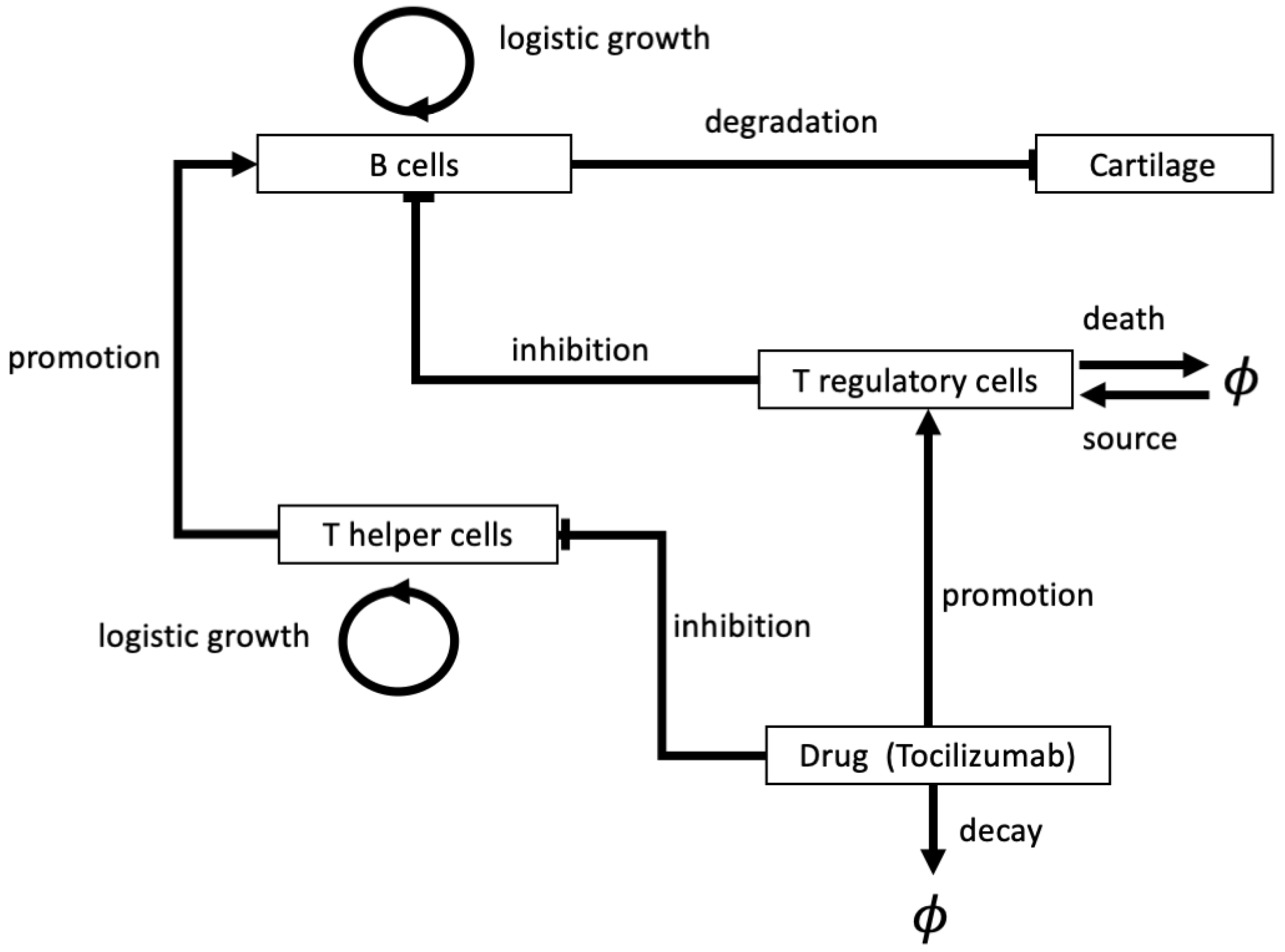 Cells 09 00074 g005 Cells 09 00074 g005