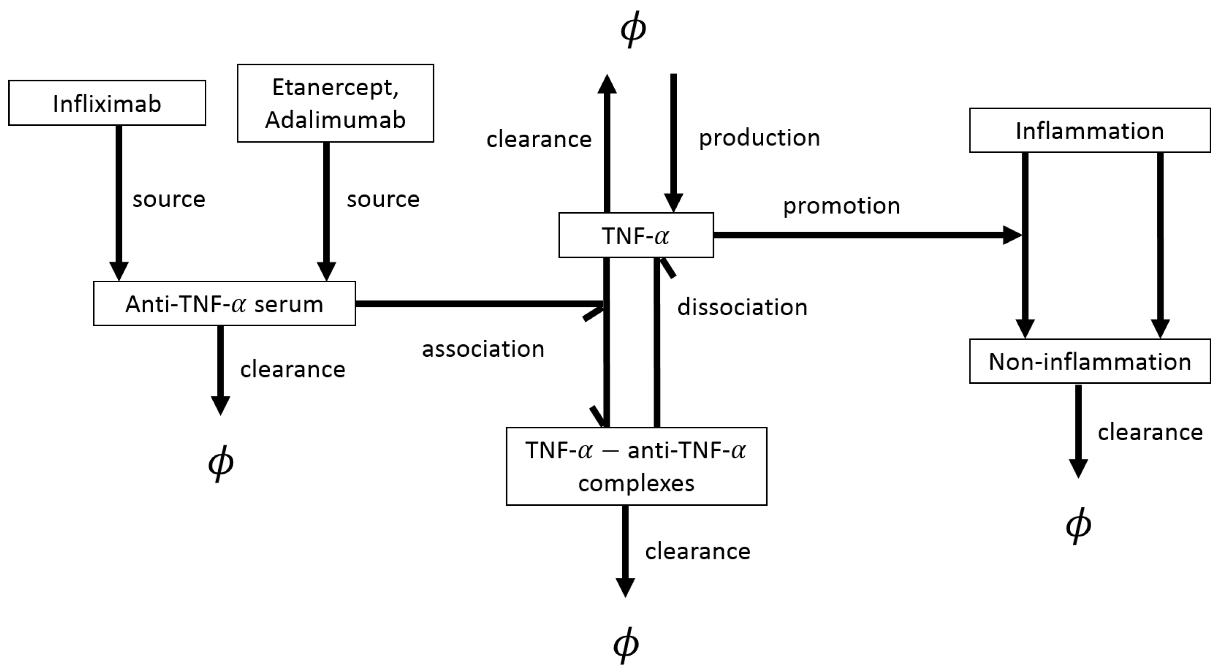 Cells 09 00074 g007 Cells 09 00074 g007