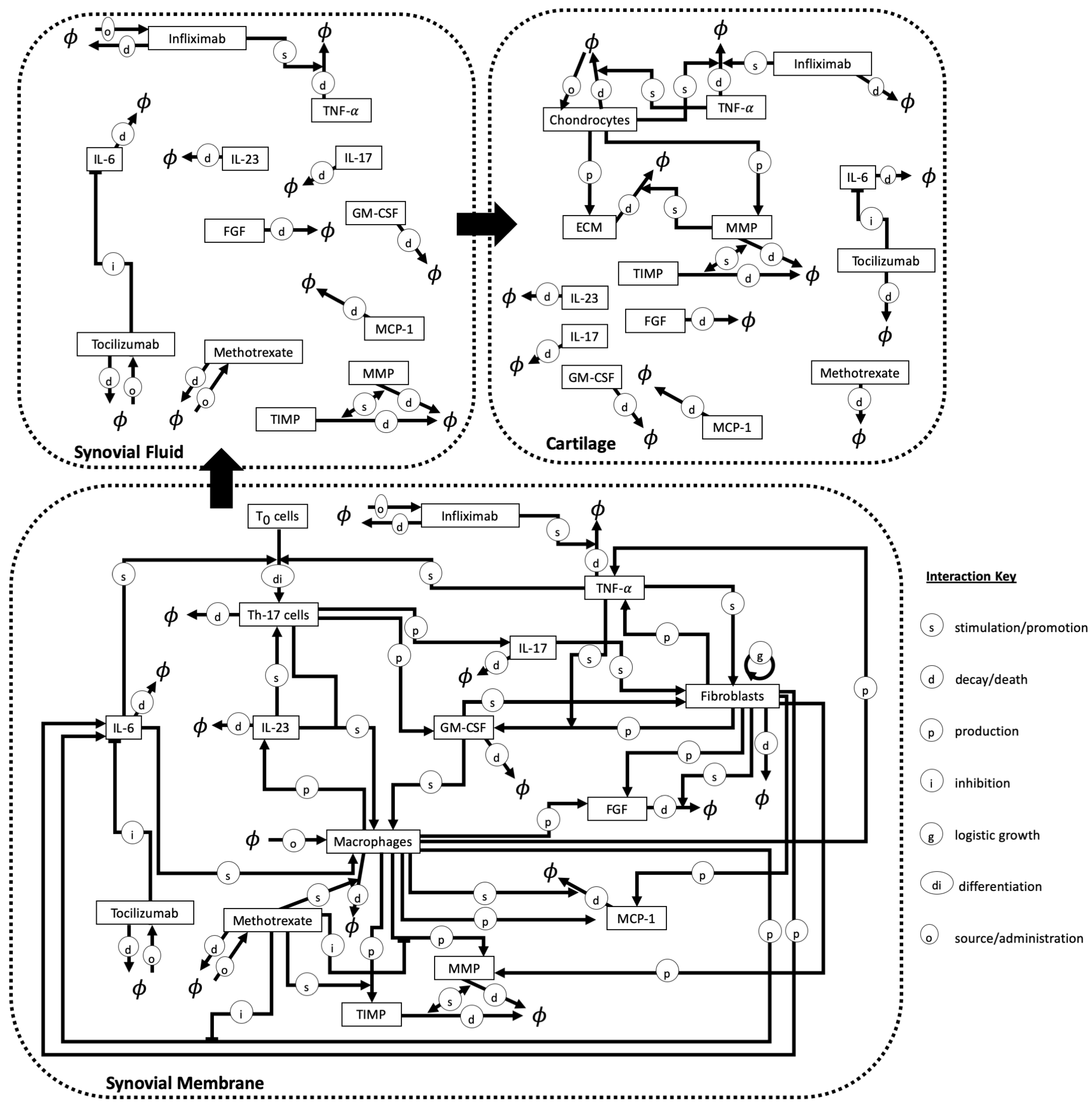 Cells 09 00074 g008 Cells 09 00074 g008
