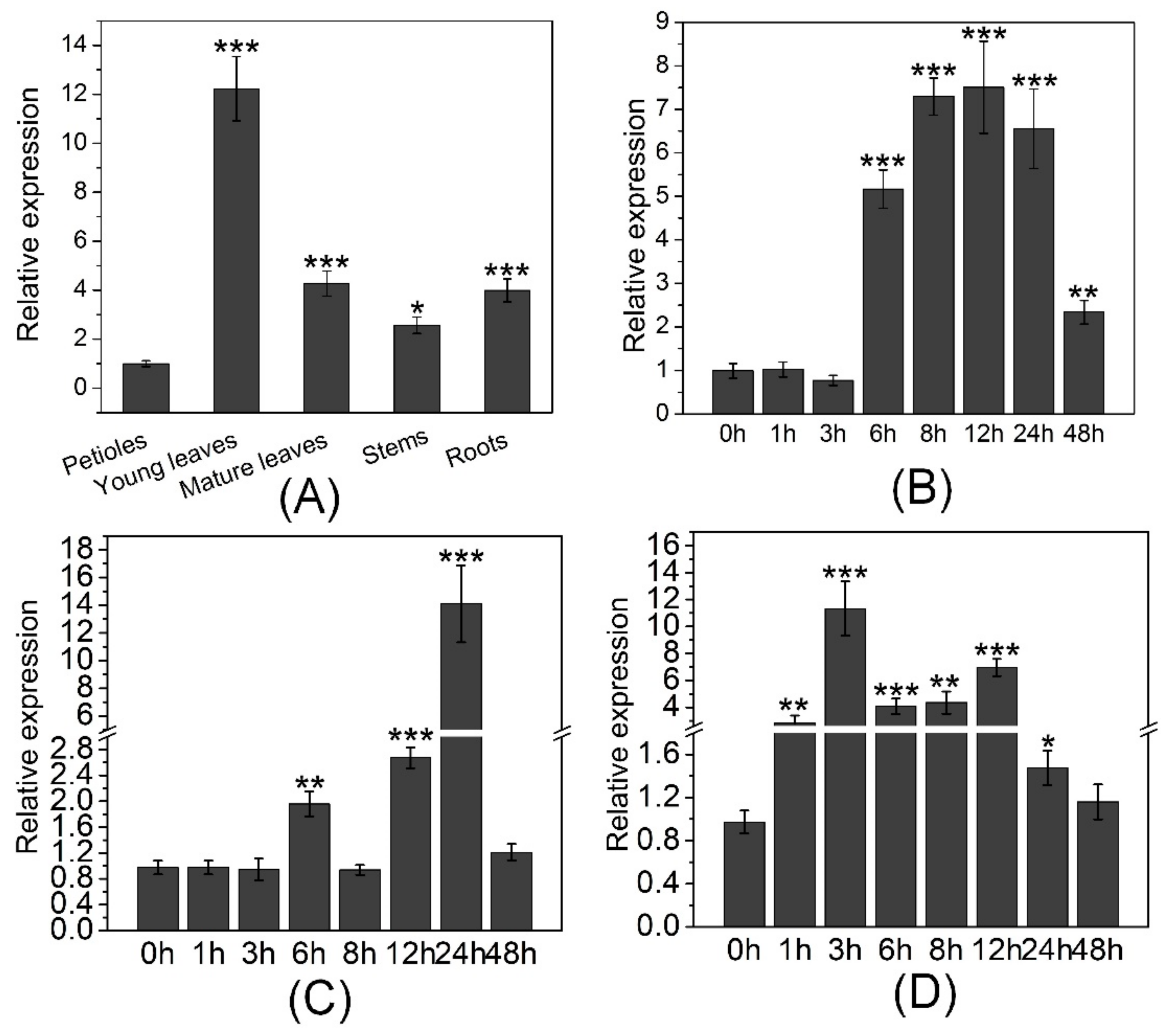 Cells 09 00076 g003 Cells 09 00076 g003
