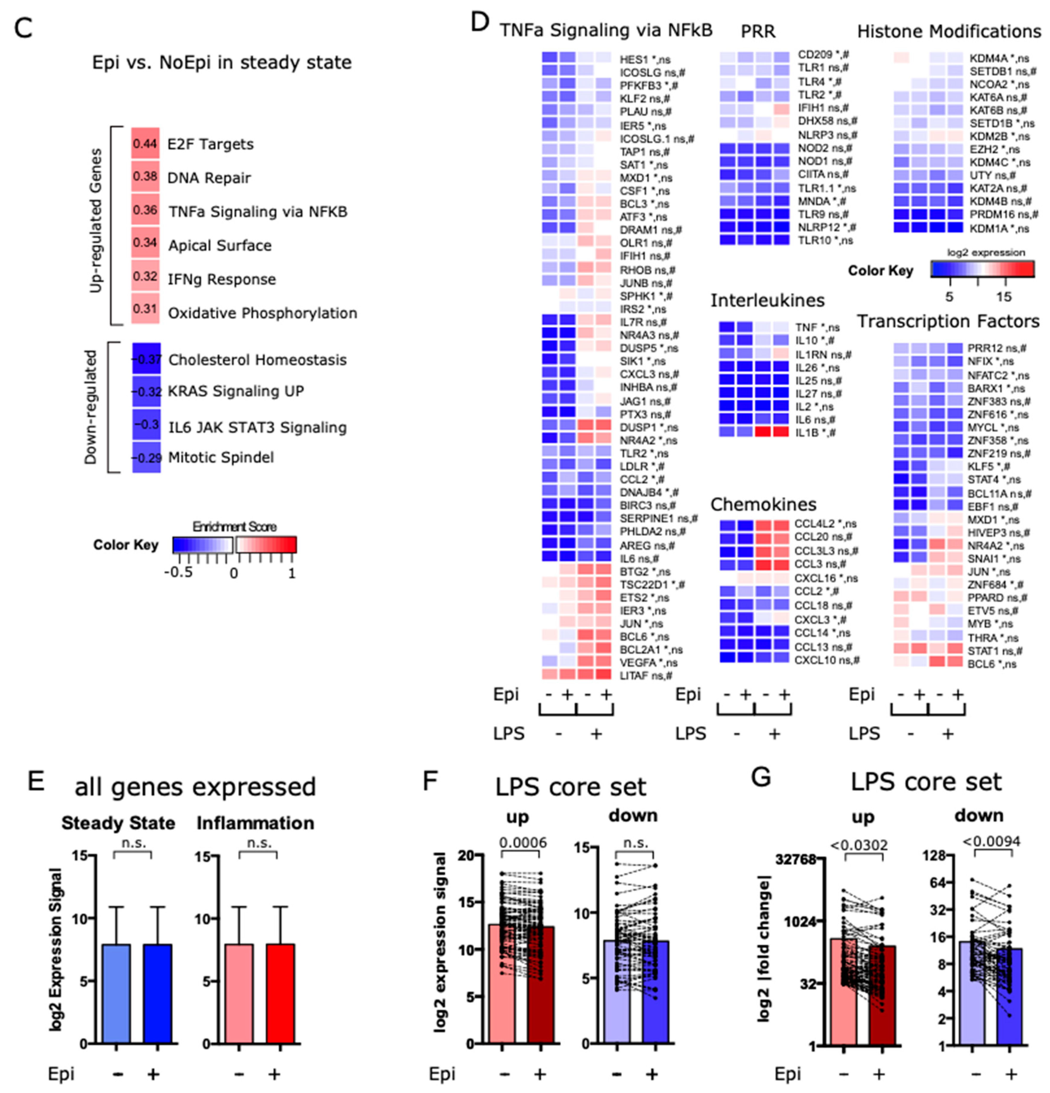 Cells 09 00079 g005b Cells 09 00079 g005b