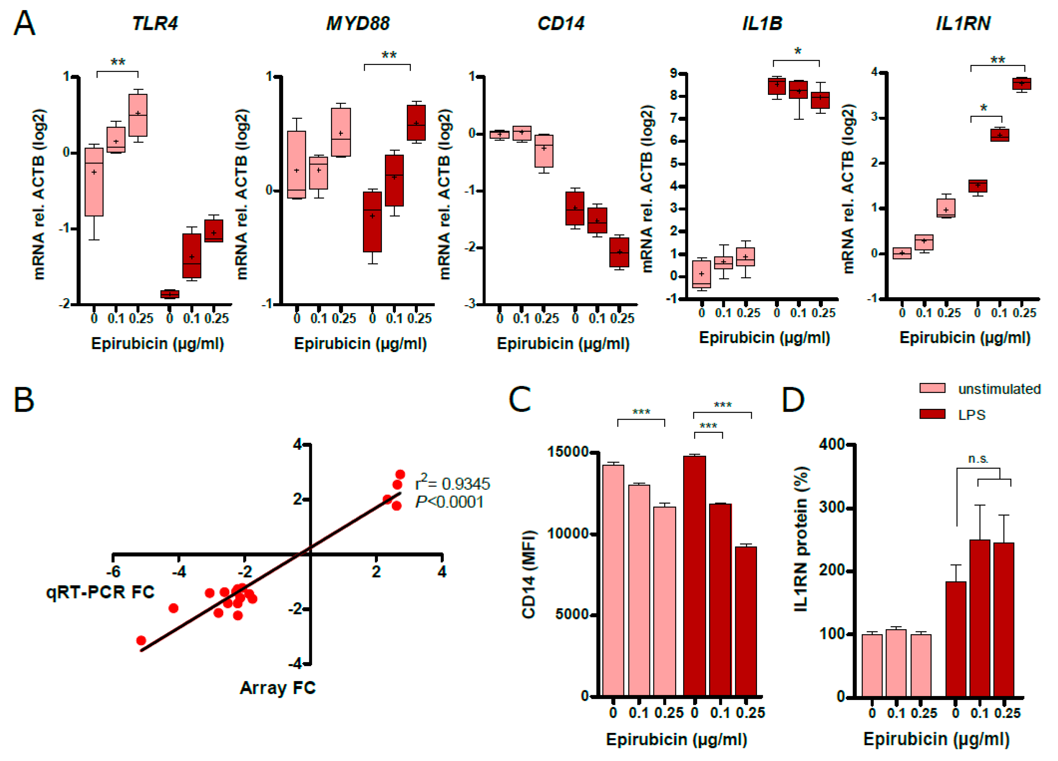 Cells 09 00079 g006 Cells 09 00079 g006