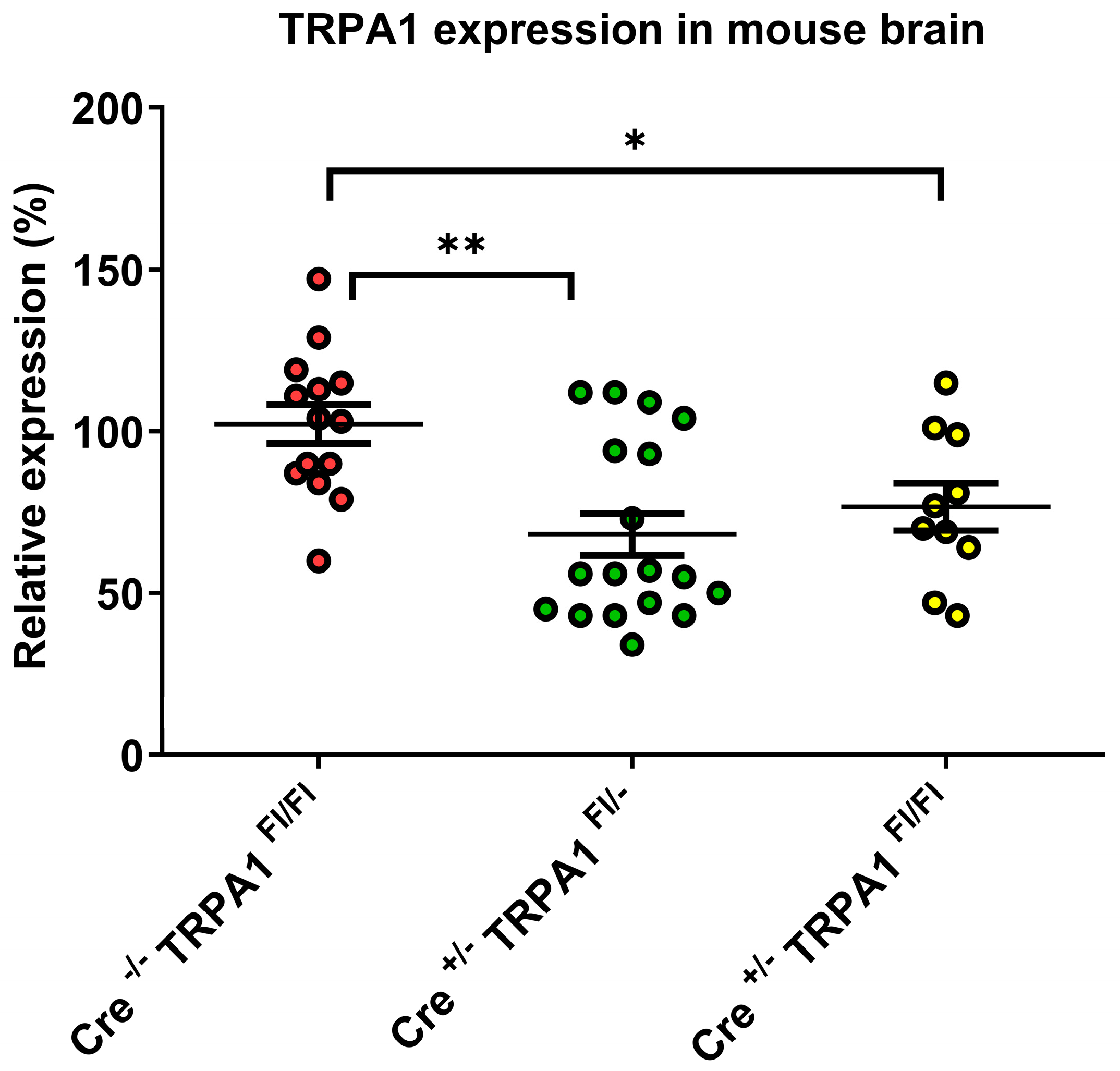Cells 09 00081 g001 Cells 09 00081 g001