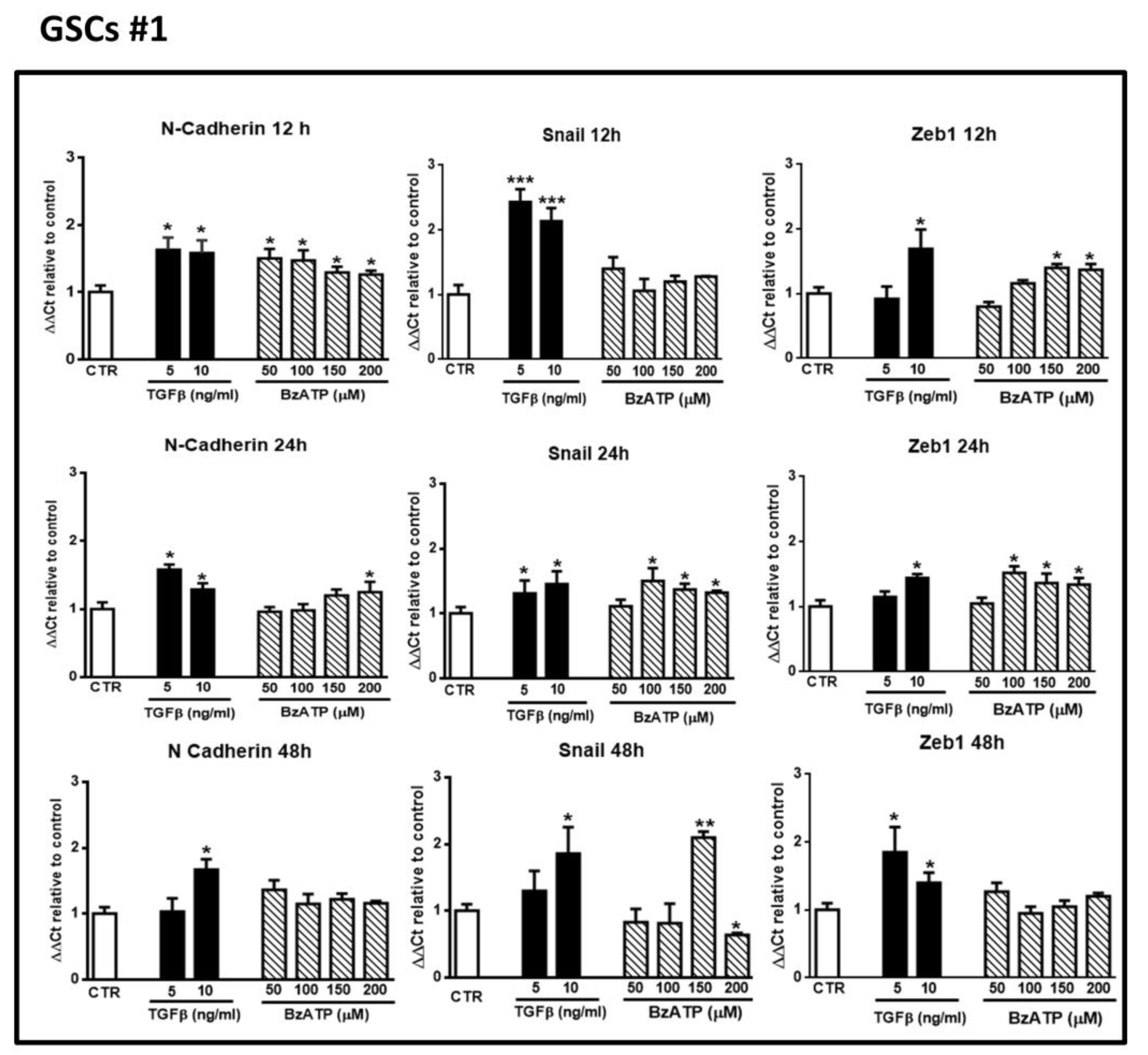 Cells Free Full Text Upregulation Of Epithelial To Mesenchymal Transition Markers And P2x7 Receptors Is Associated To Increased Invasiveness Caused By P2x7 Receptor Stimulation In Human Glioblastoma Stem Cells Html Cells Free Full Text Upregulation Of Epithelial To Mesenchymal Transition Markers And P2x7 Receptors Is Associated To Increased Invasiveness Caused By P2x7 Receptor Stimulation In Human Glioblastoma Stem Cells Html