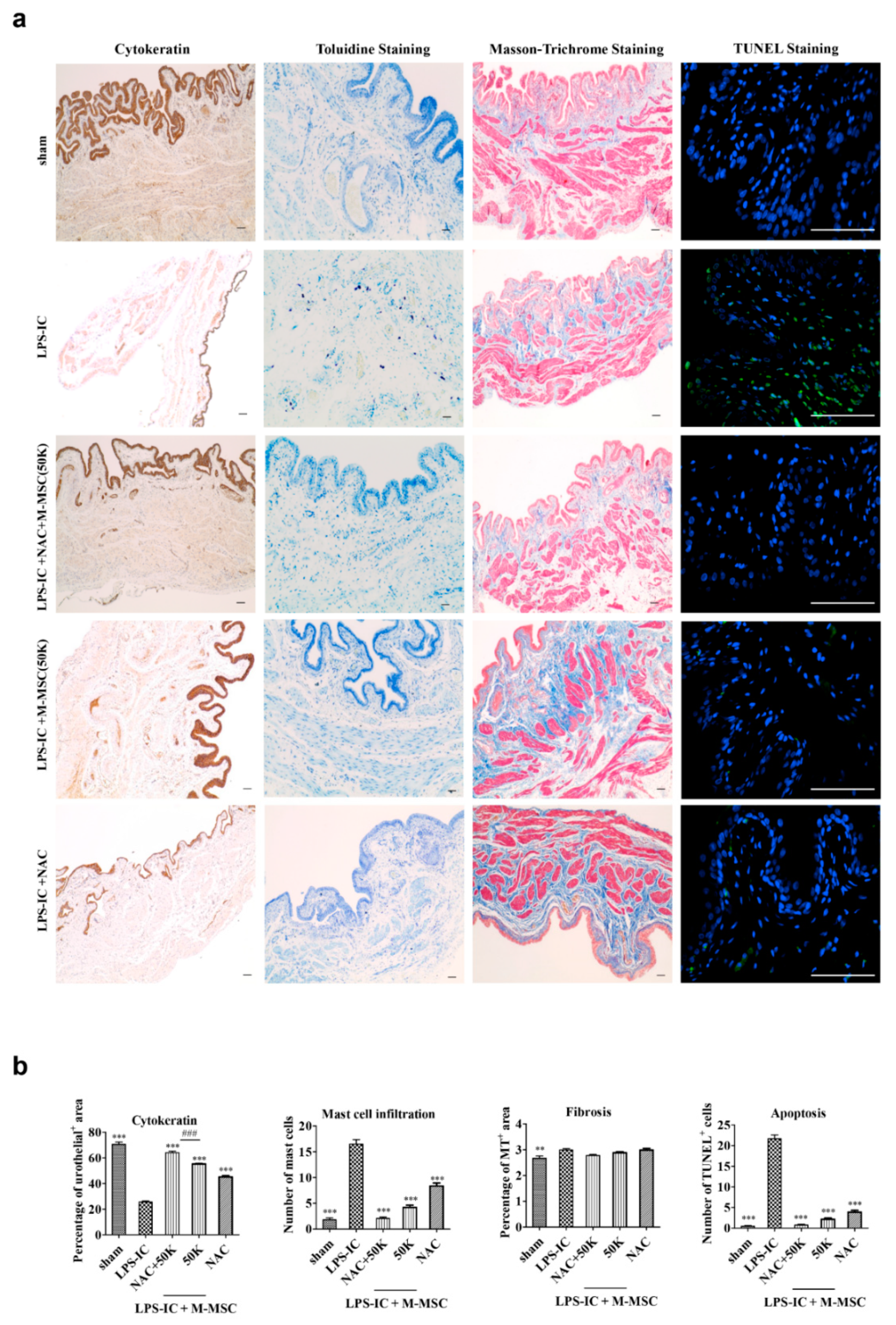 Cells 09 00086 g003