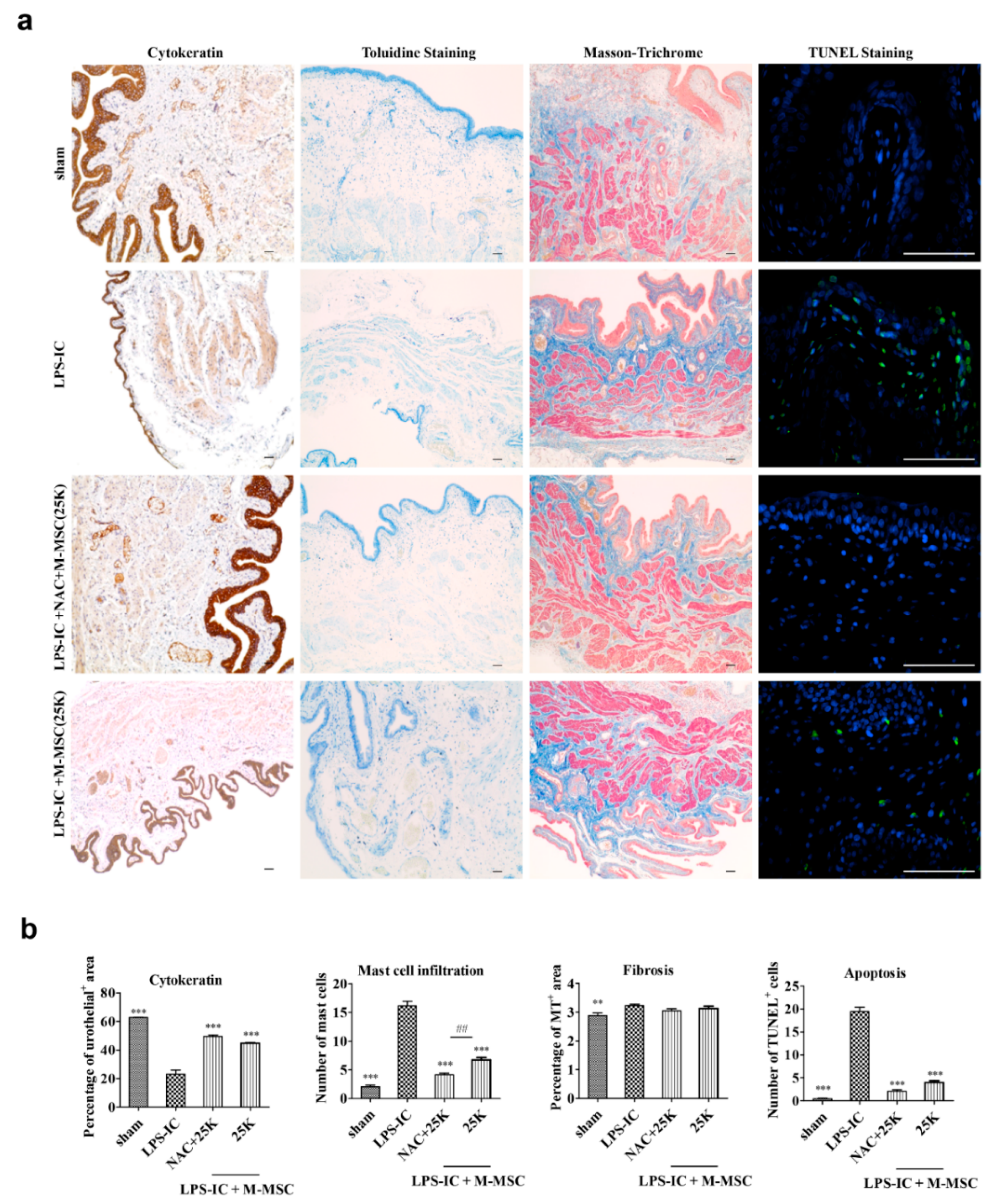 Cells 09 00086 g005