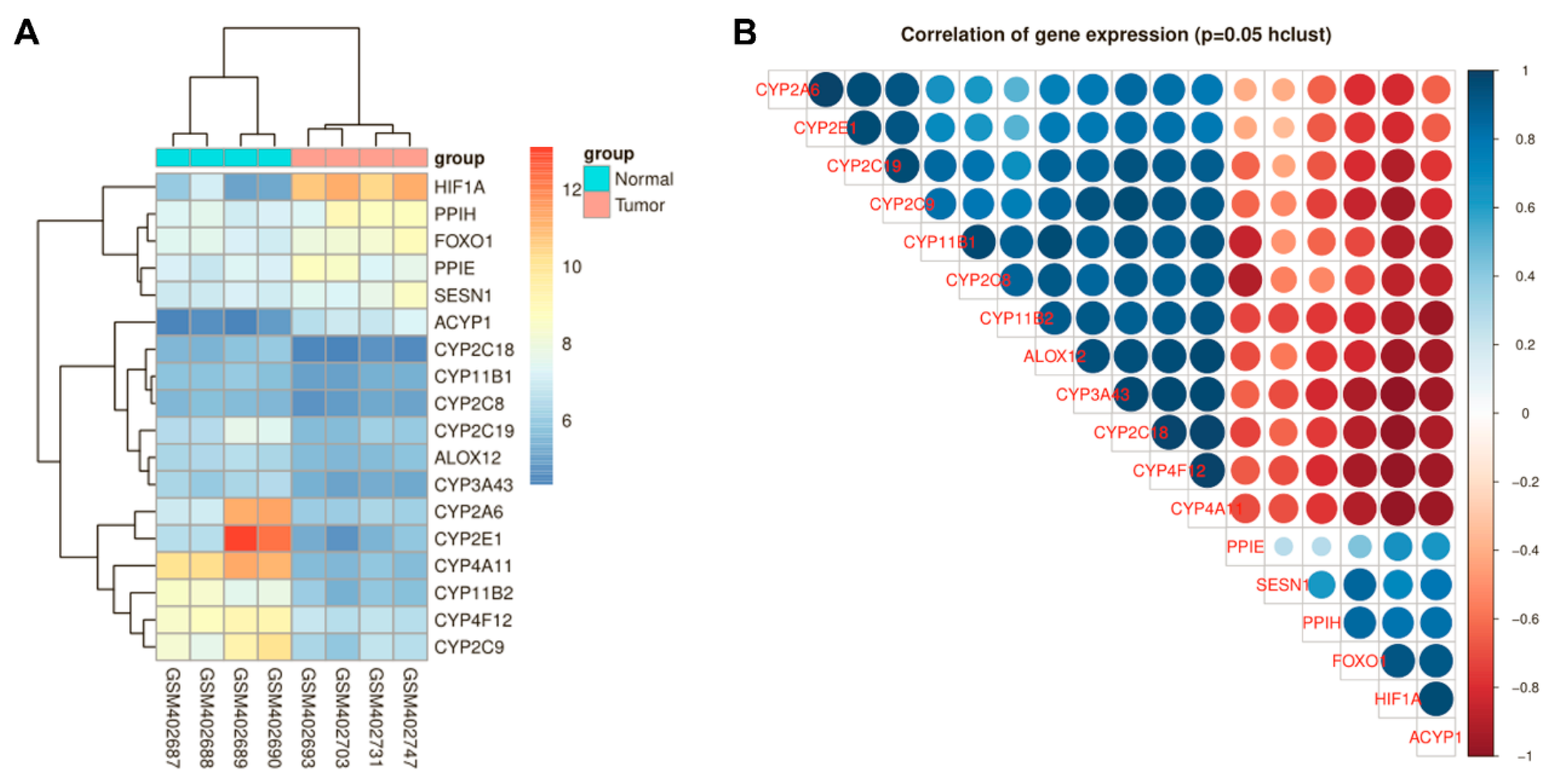 Cells 09 00087 g001 Cells 09 00087 g001