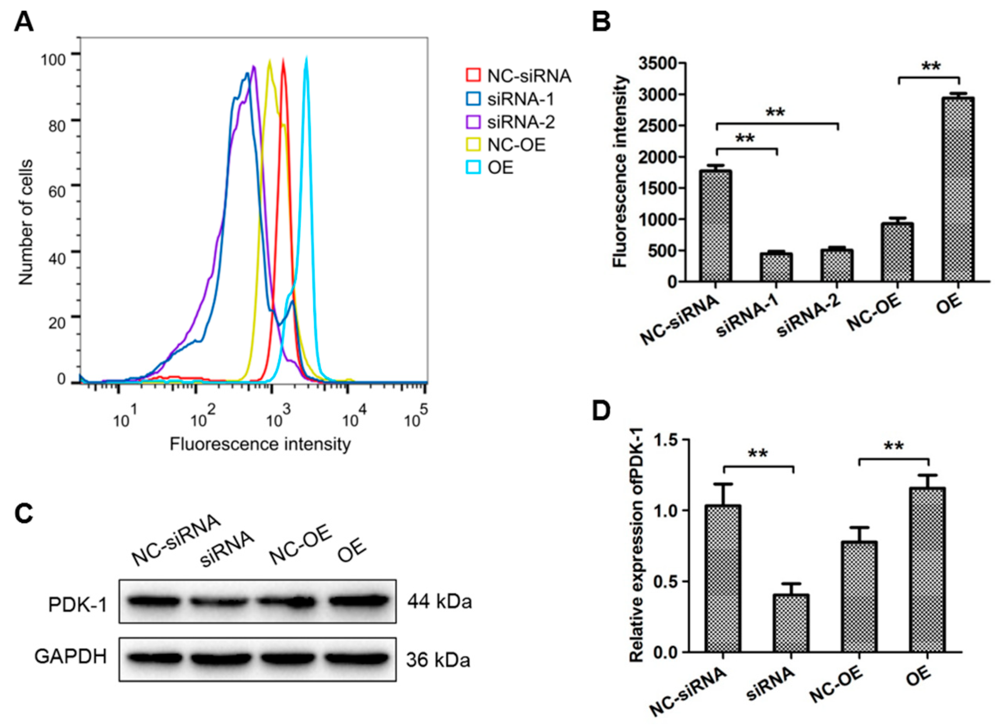 Cells 09 00087 g003 Cells 09 00087 g003