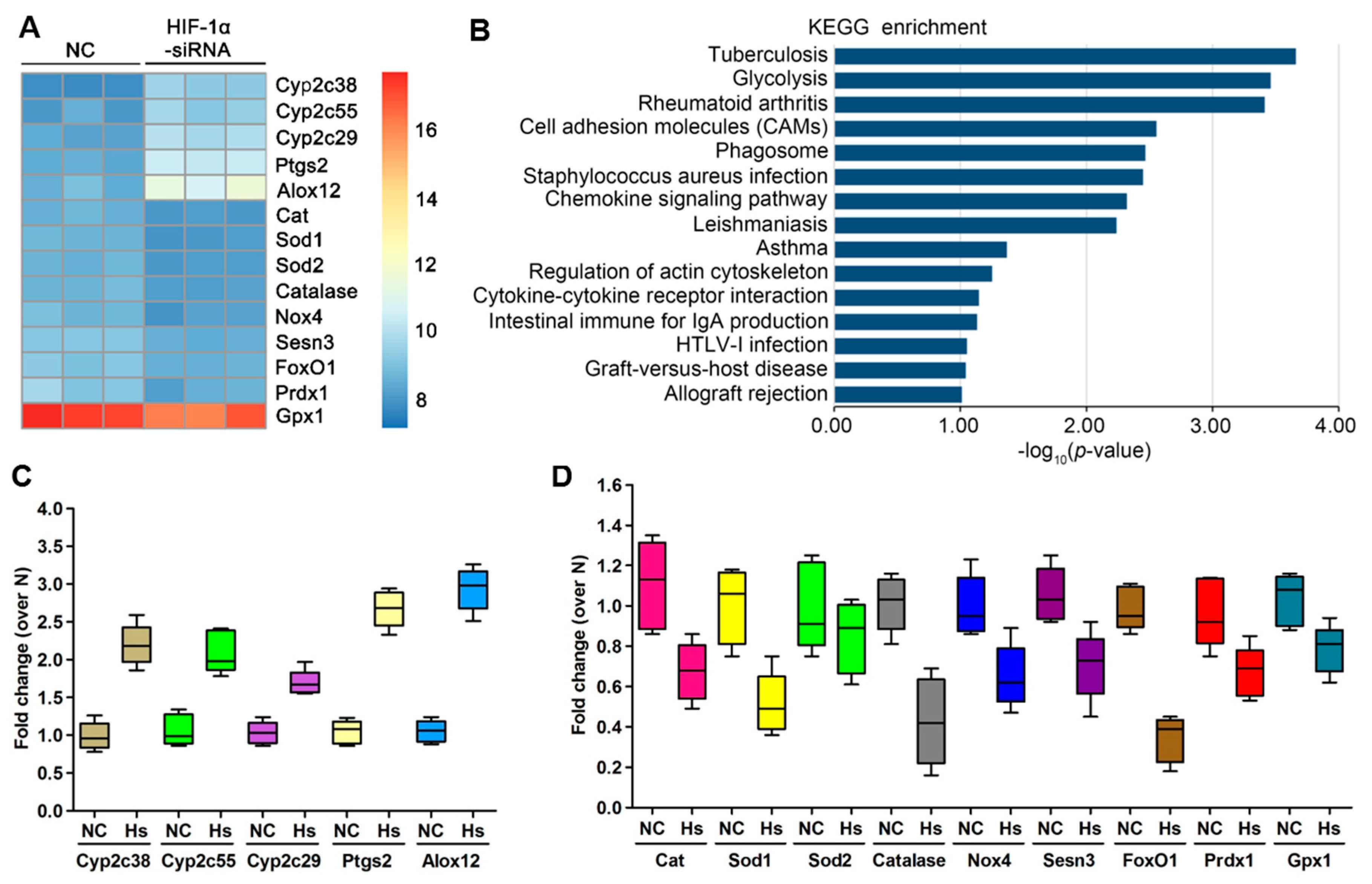 Cells 09 00087 g006 Cells 09 00087 g006