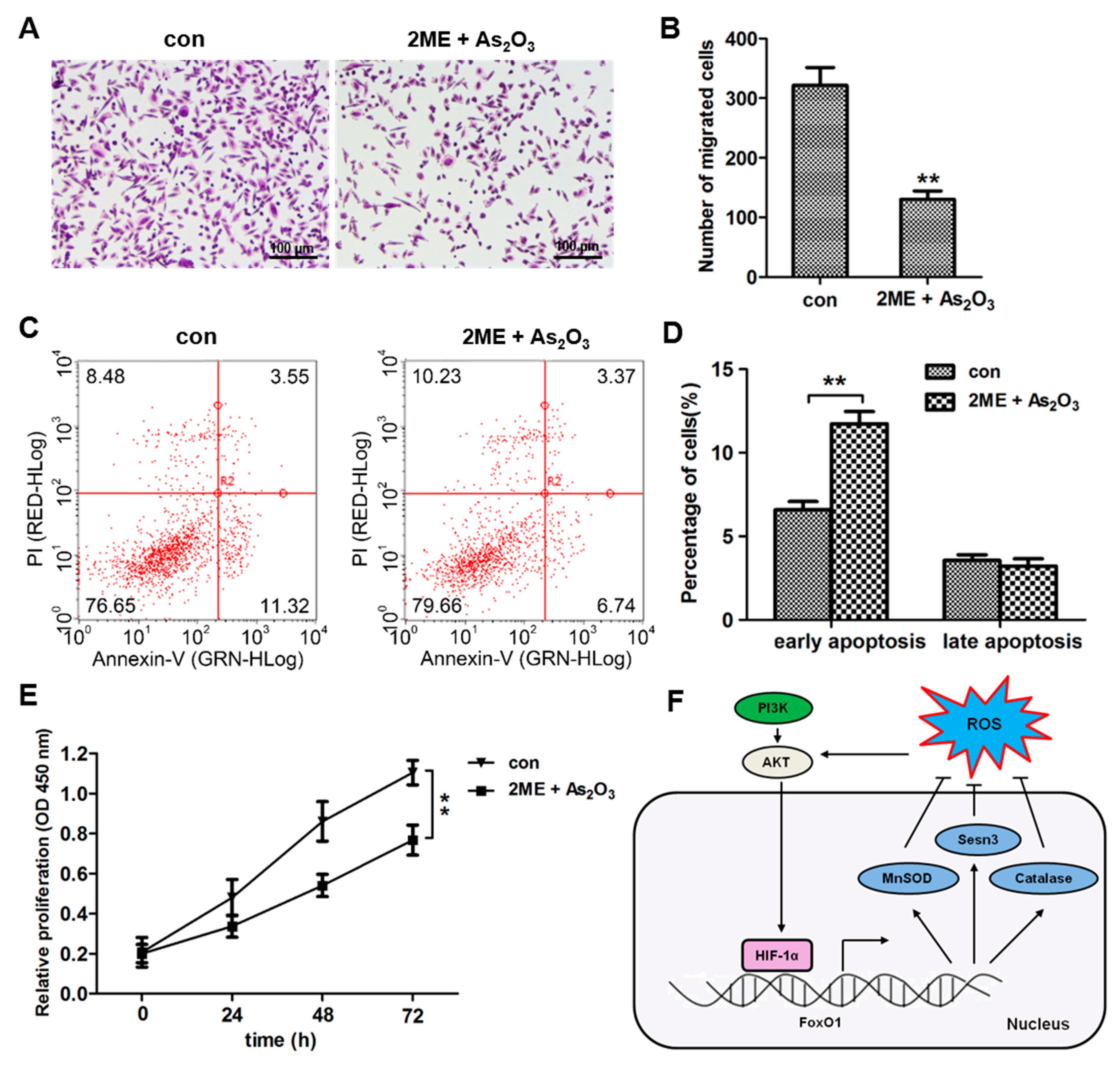 Cells 09 00087 g008 Cells 09 00087 g008