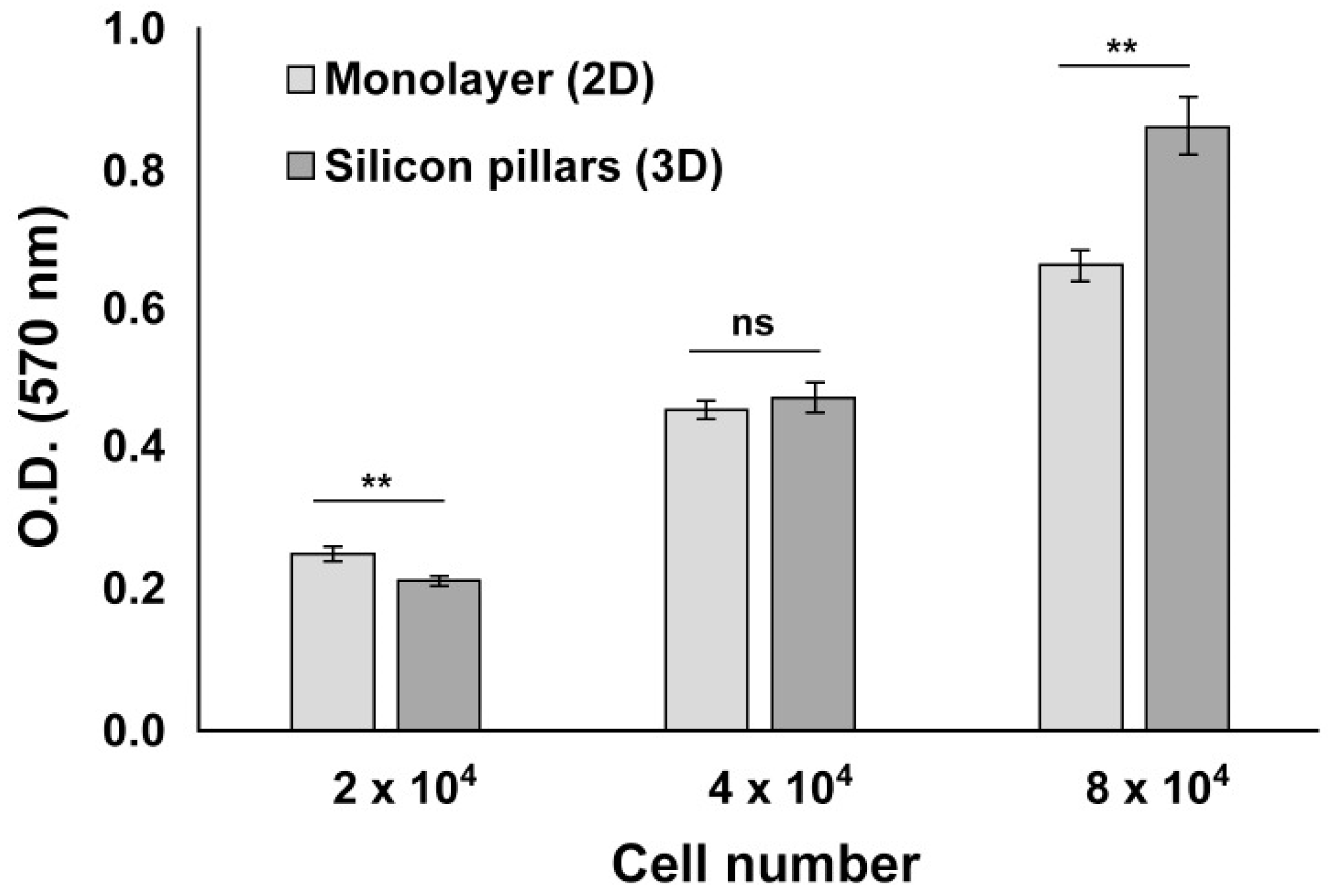 Cells 09 00088 g003 Cells 09 00088 g003