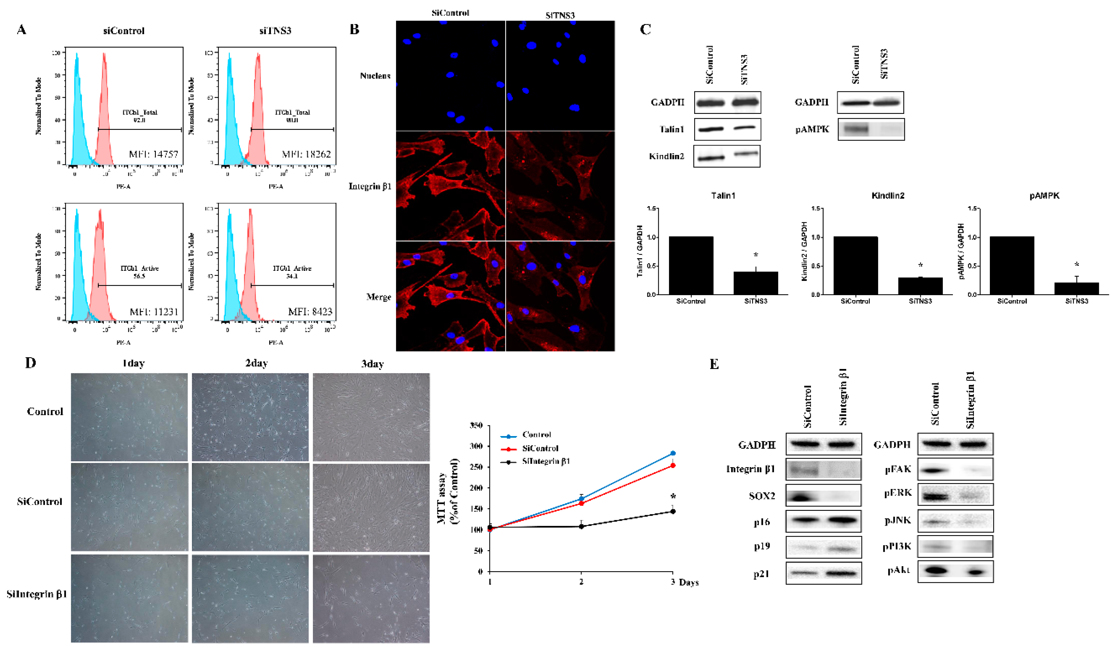 Cells 09 00089 g005 Cells 09 00089 g005