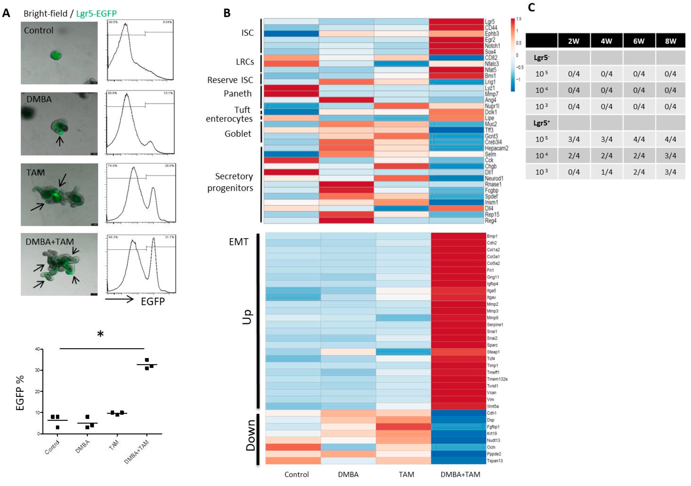 Cells 09 00090 g004 Cells 09 00090 g004