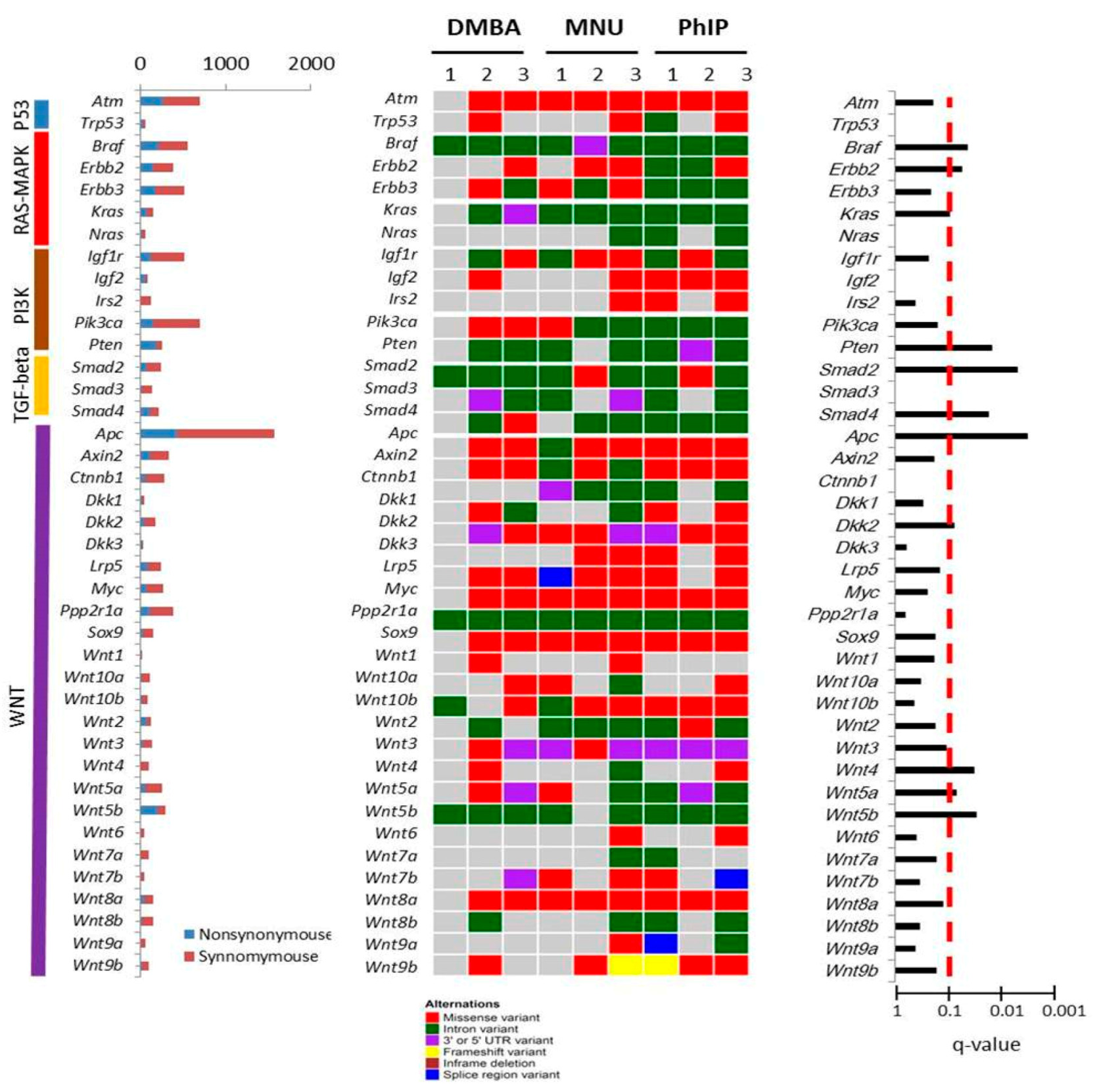 Cells 09 00090 g008 Cells 09 00090 g008