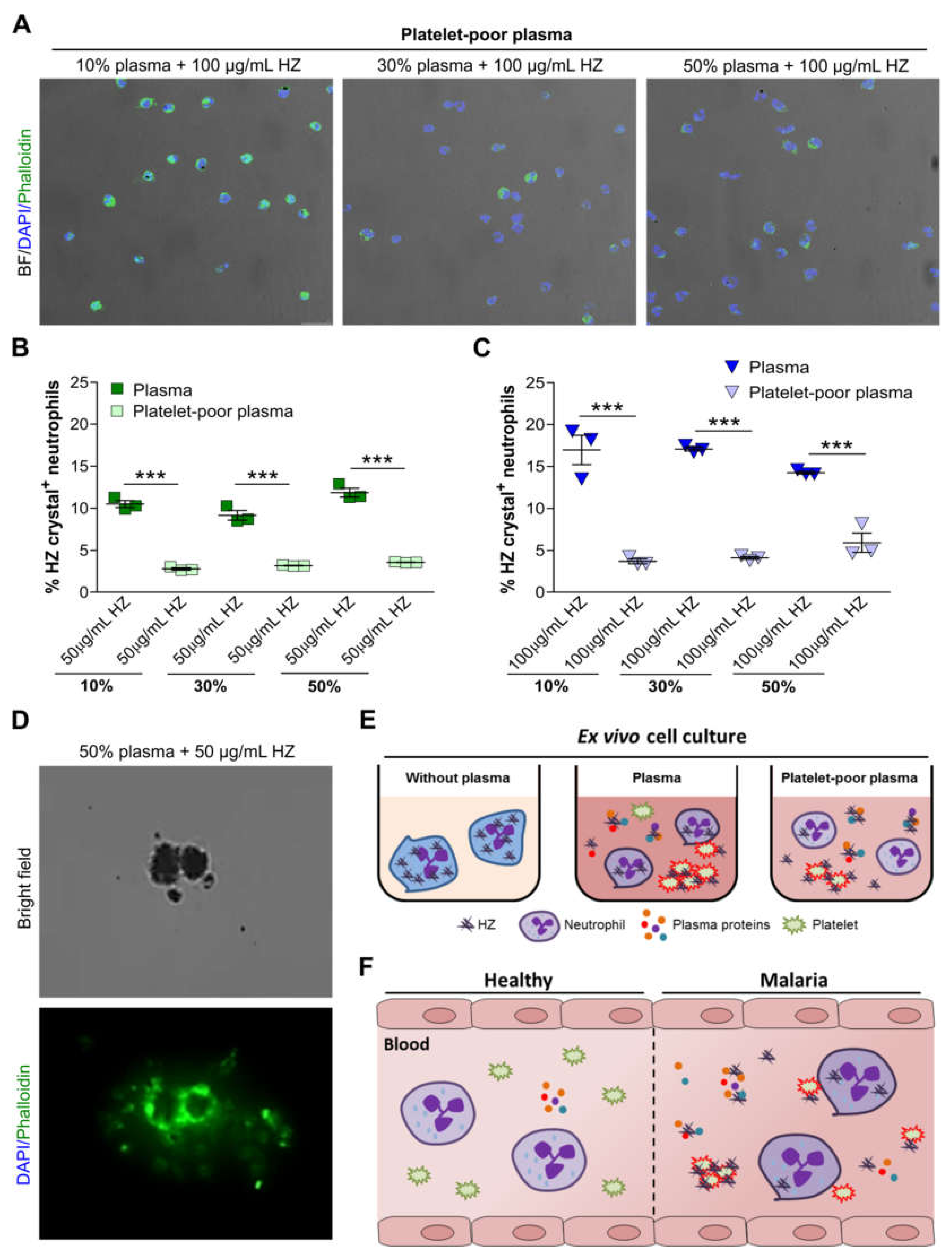 Cells 09 00093 g005 Cells 09 00093 g005