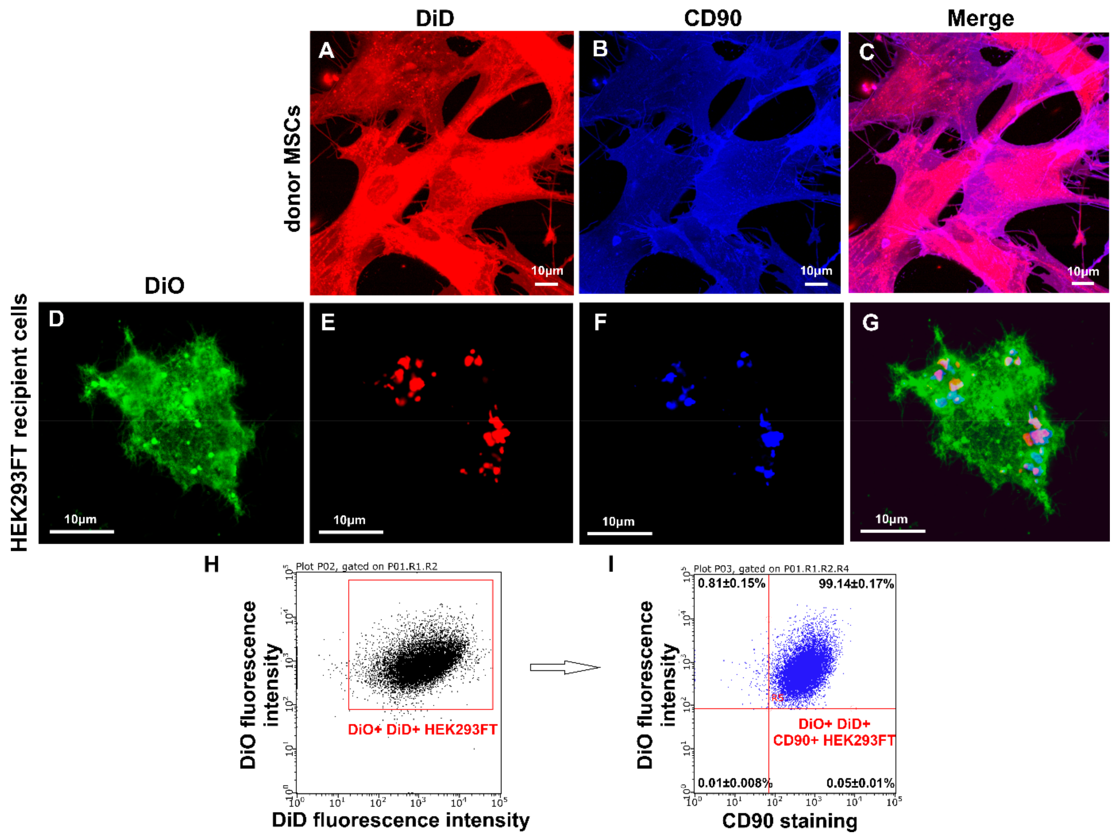 Cells 09 00095 g005 Cells 09 00095 g005