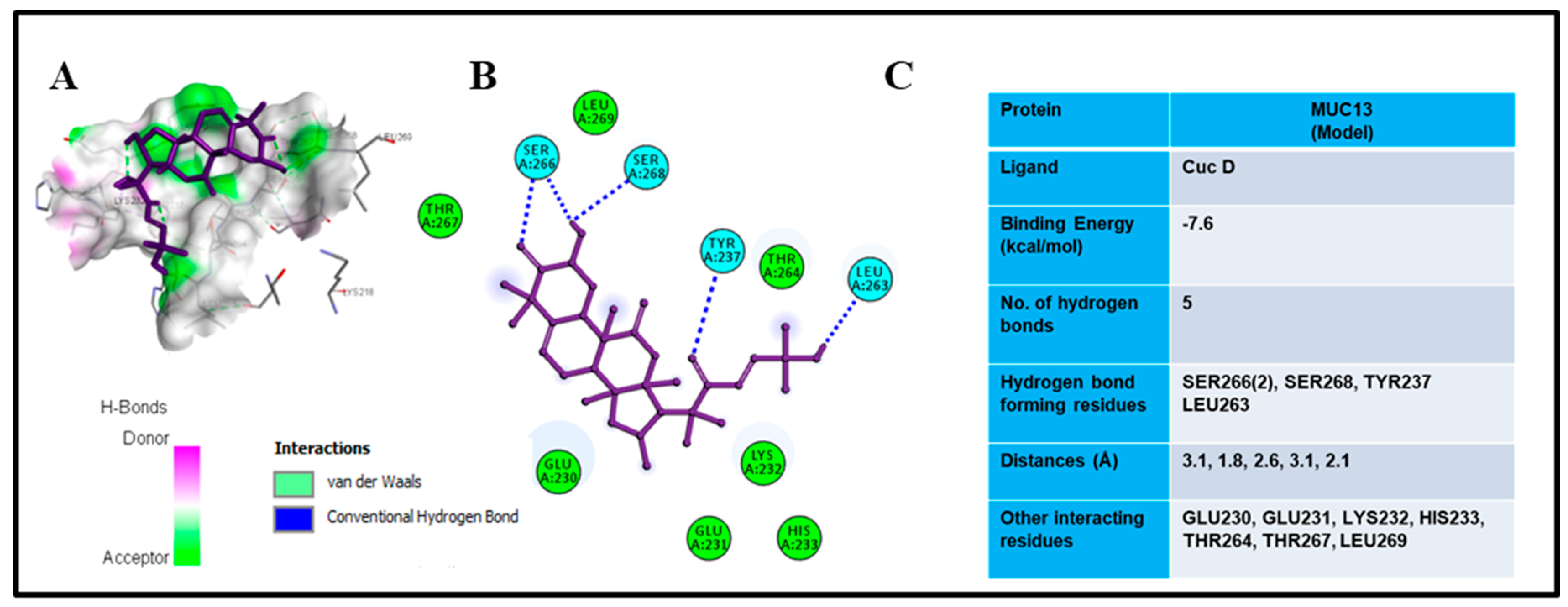 Cells 09 00103 g004 Cells 09 00103 g004