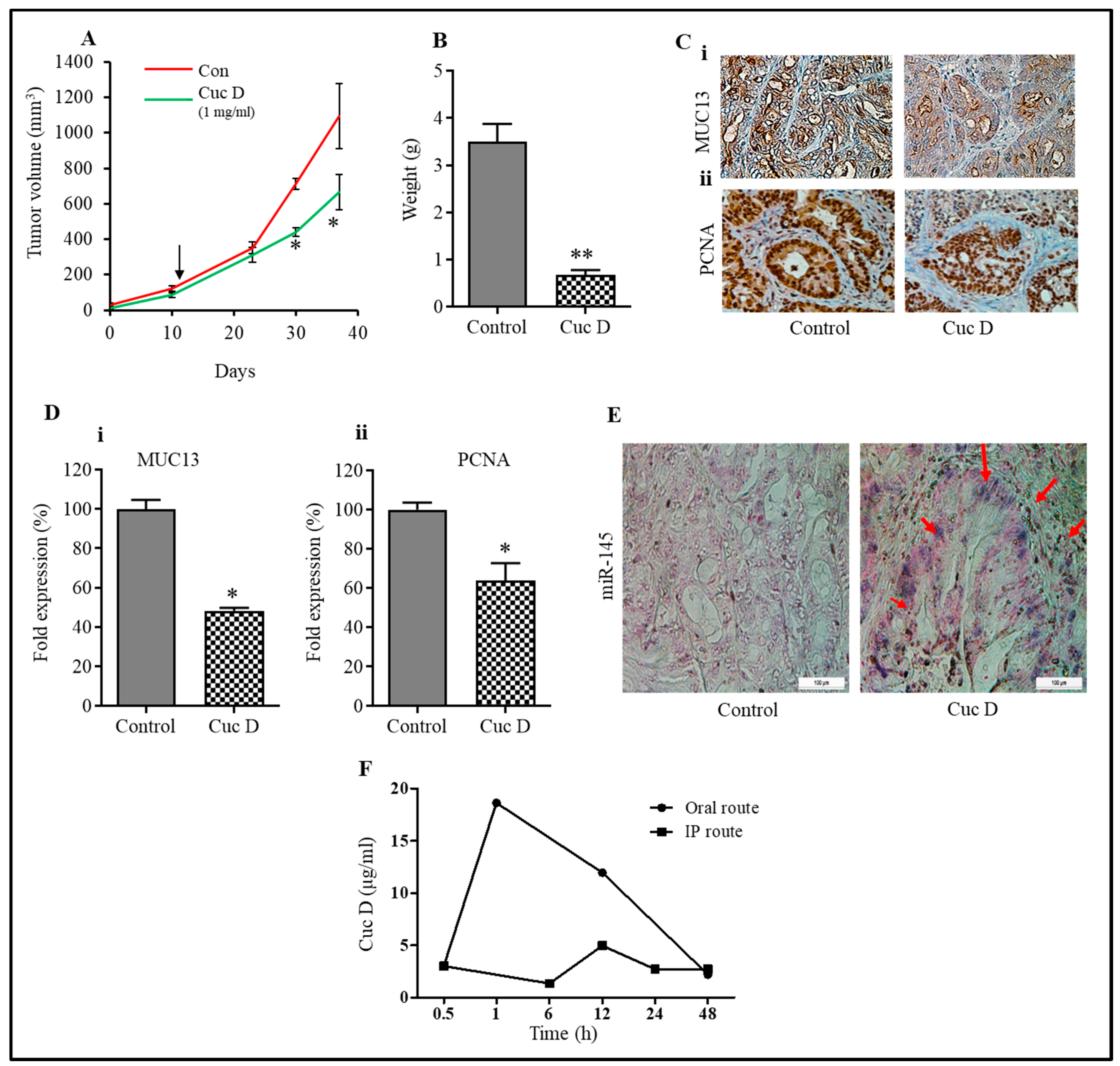 Cells 09 00103 g006 Cells 09 00103 g006