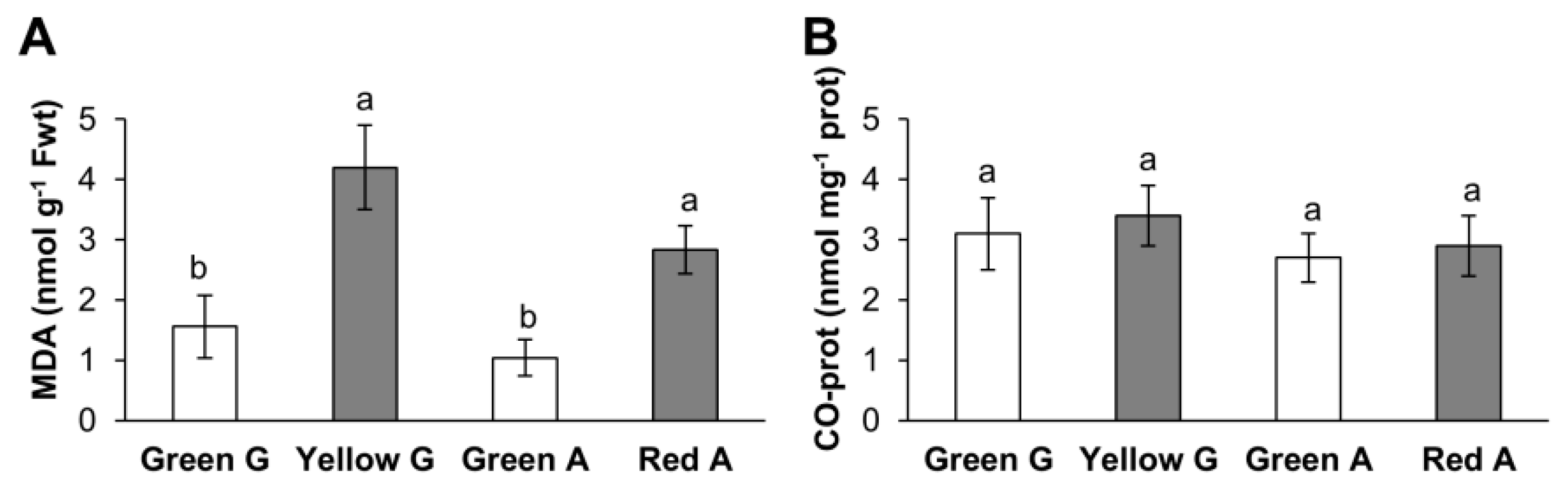 Cells 09 00106 g001 Cells 09 00106 g001
