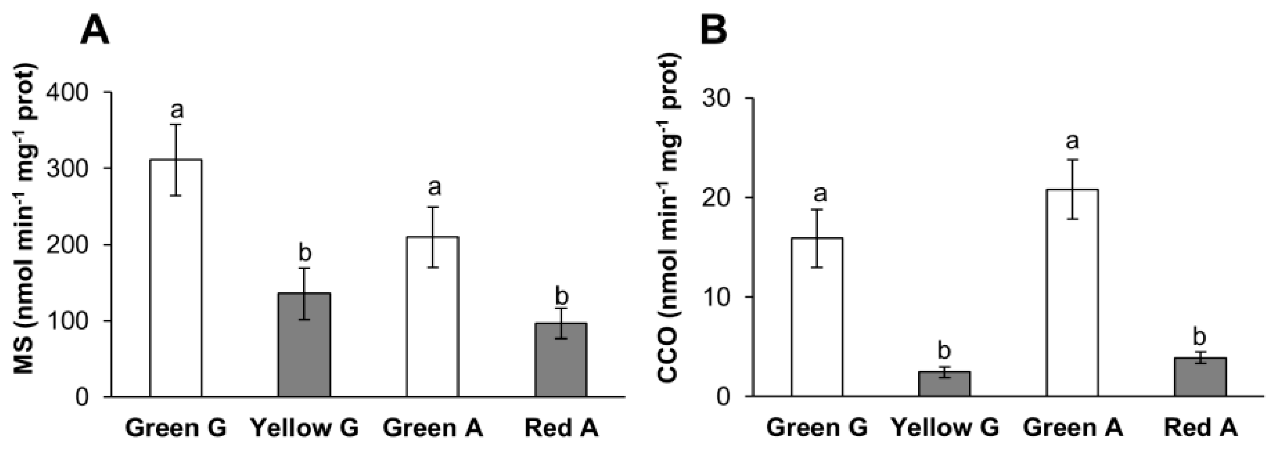 Cells 09 00106 g006 Cells 09 00106 g006