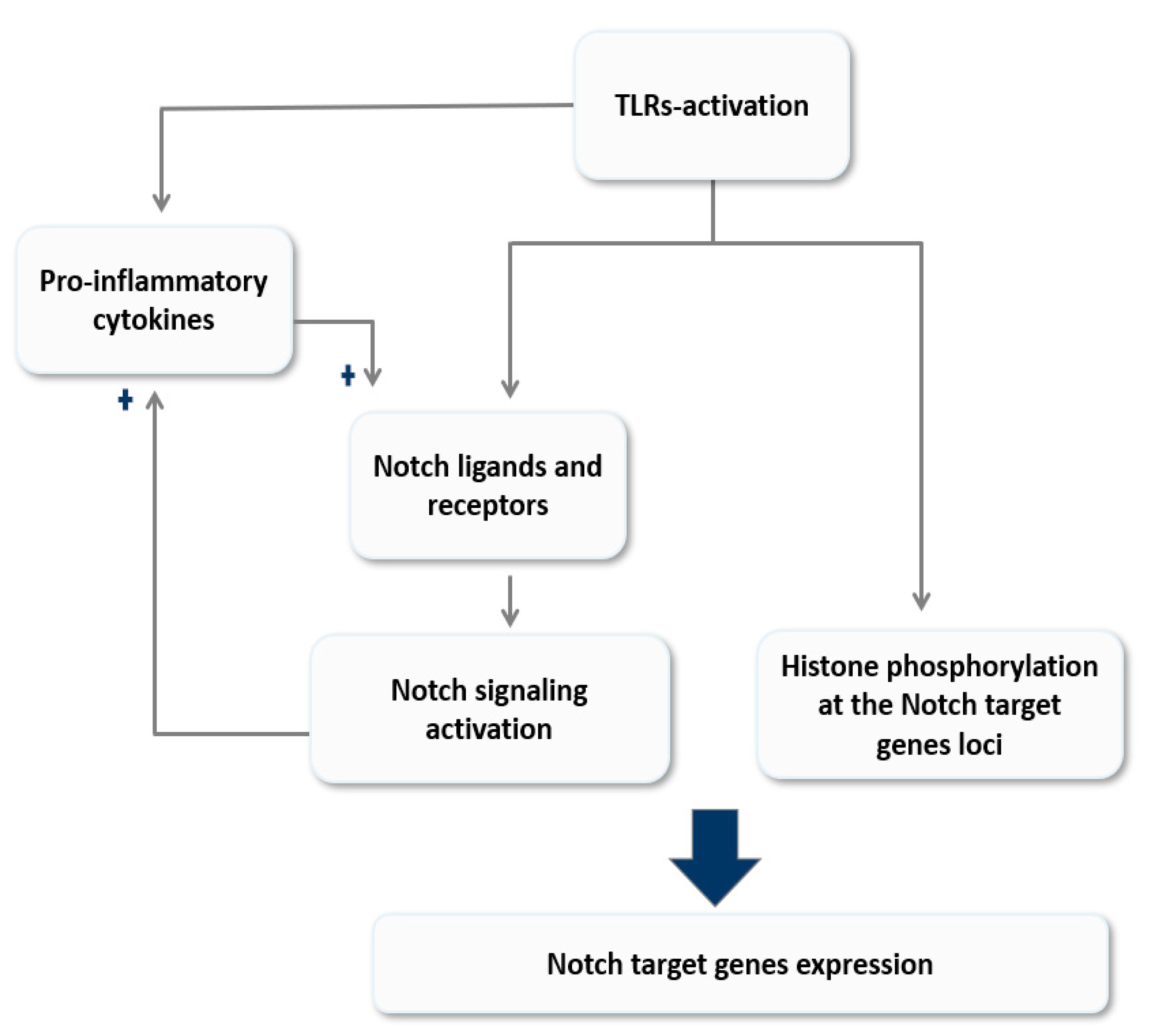 Cells 09 00111 g002 Cells 09 00111 g002
