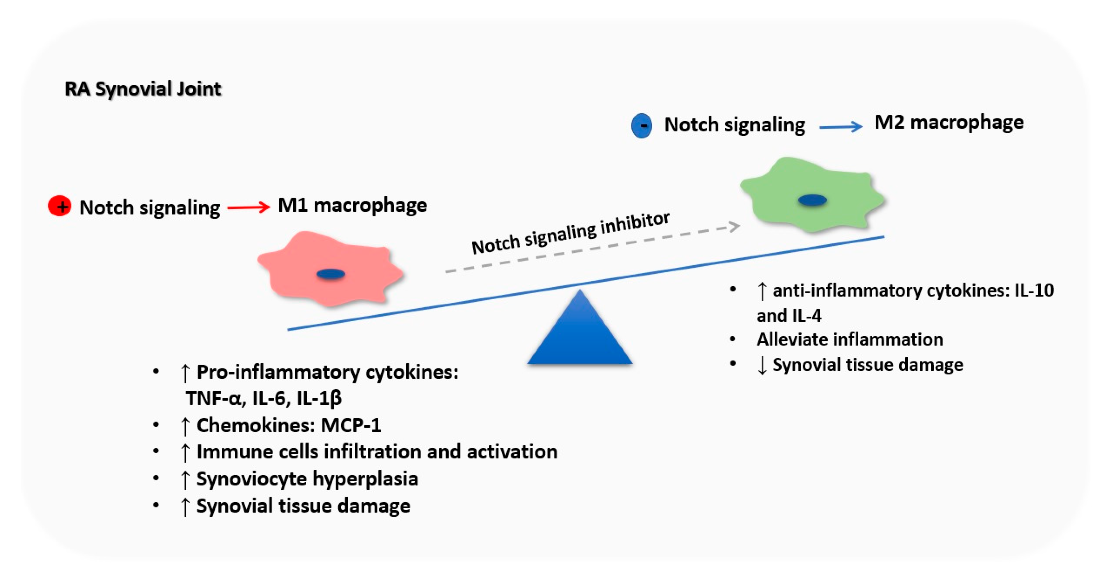 Cells 09 00111 g004 Cells 09 00111 g004
