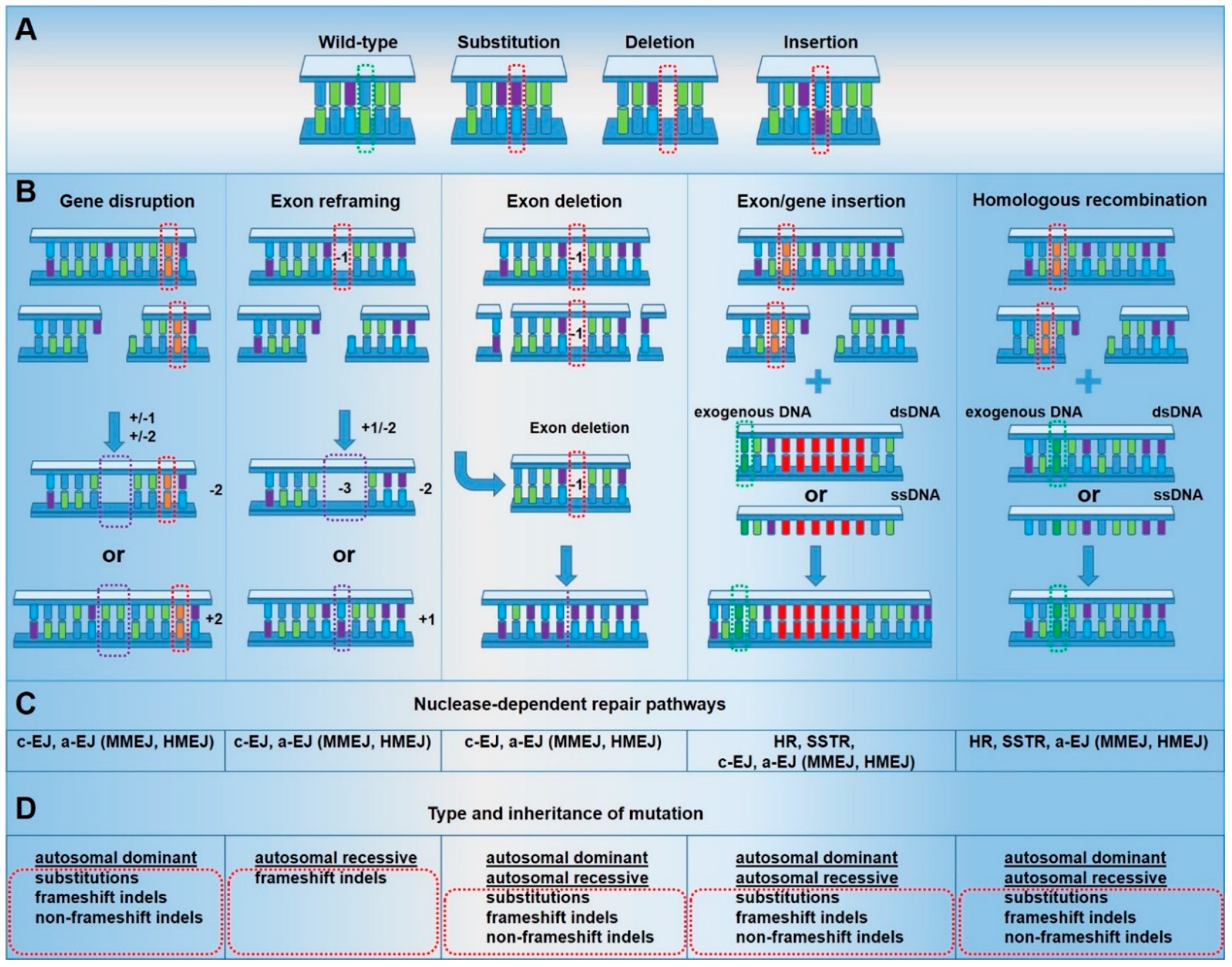 Cells 09 00112 g002 Cells 09 00112 g002