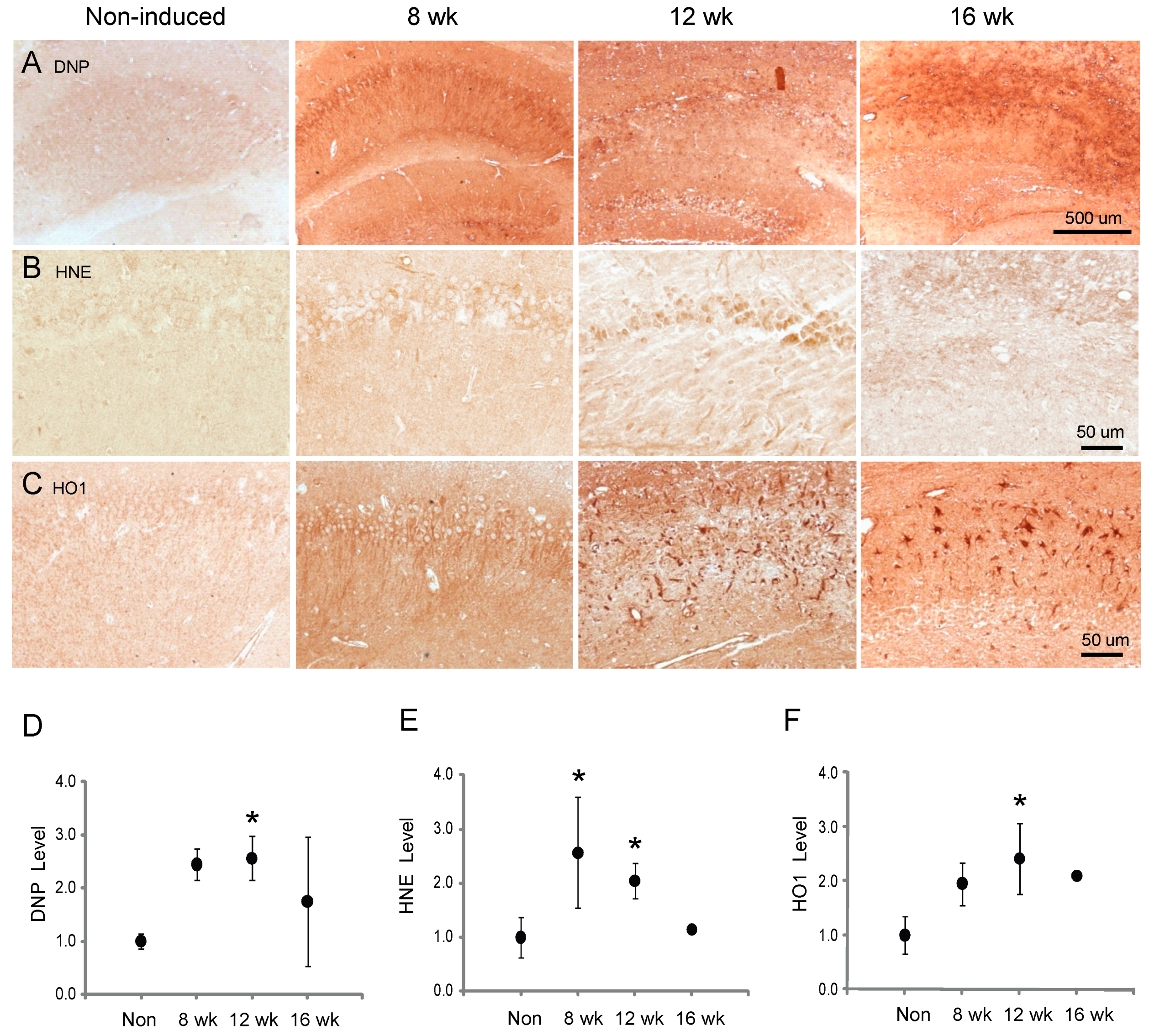Cells 09 00116 g006 Cells 09 00116 g006