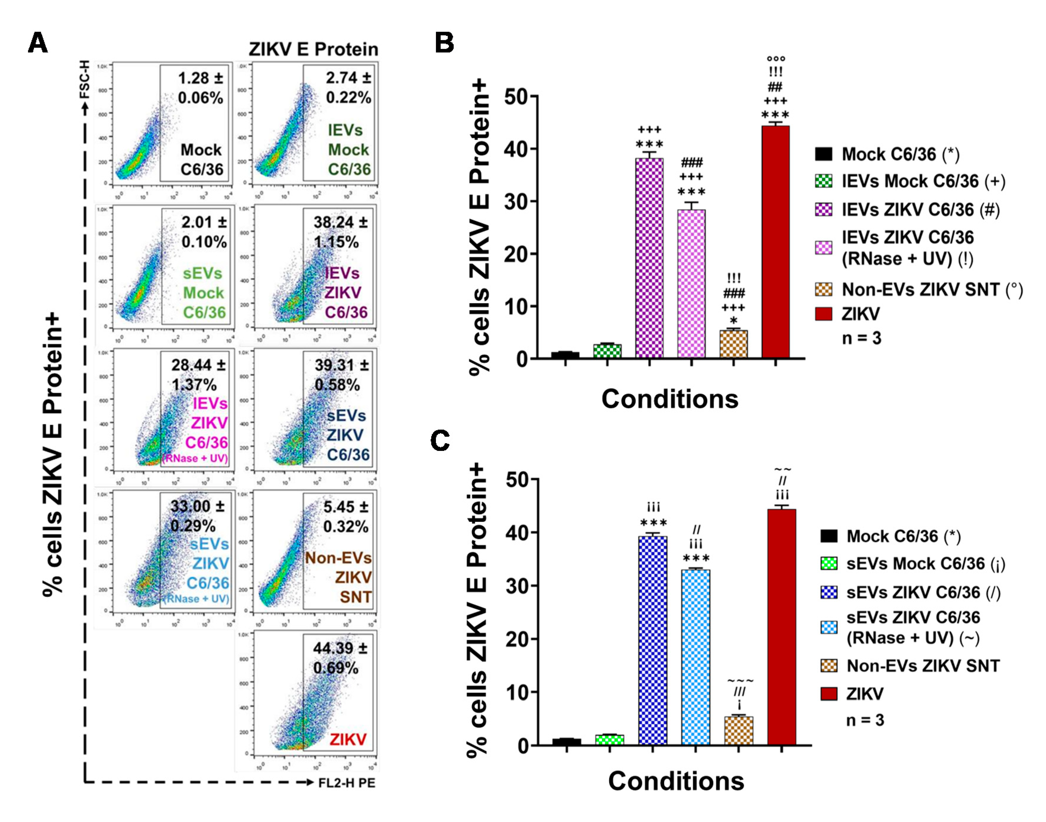Cells 09 00123 g005 Cells 09 00123 g005