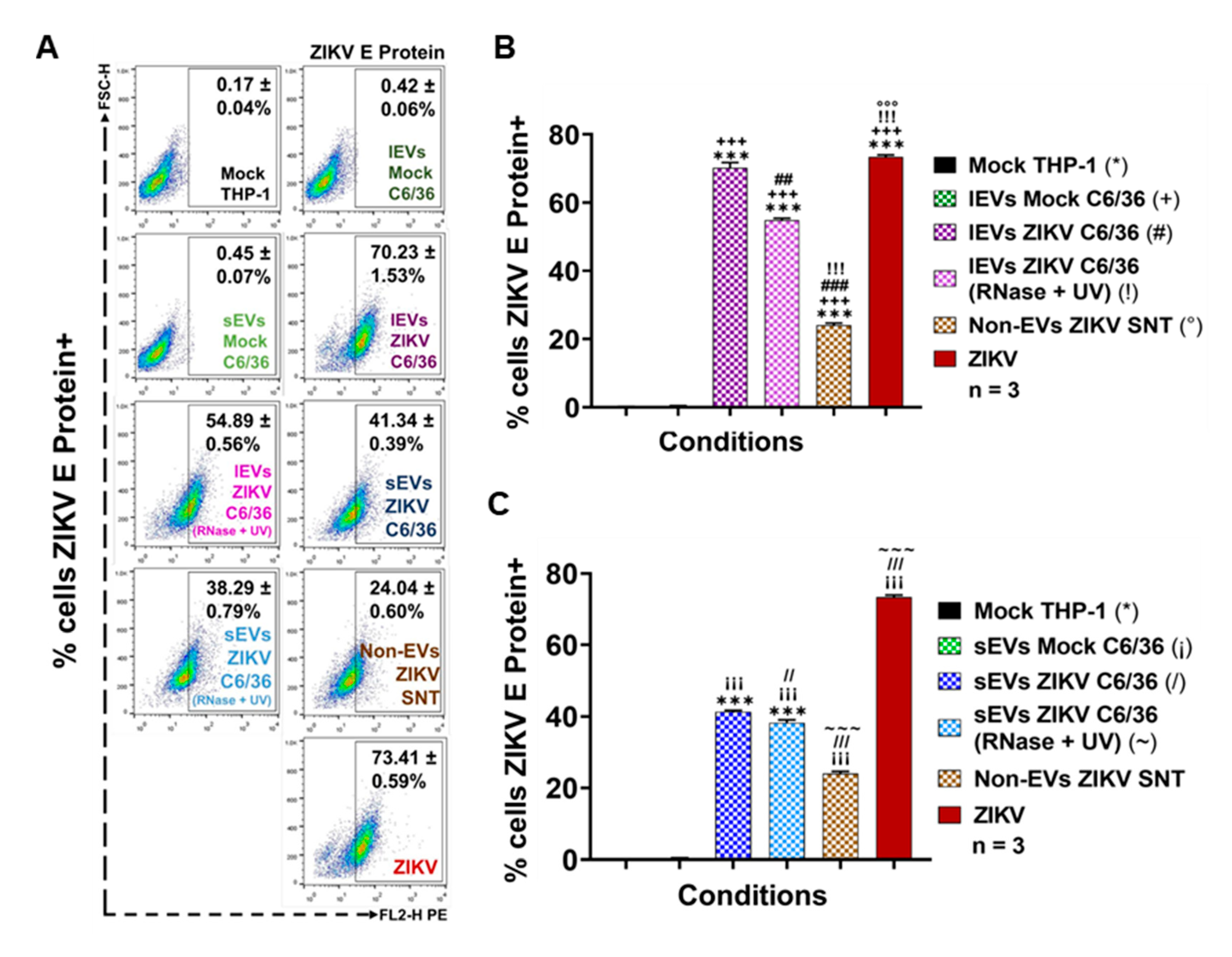 Cells 09 00123 g007 Cells 09 00123 g007