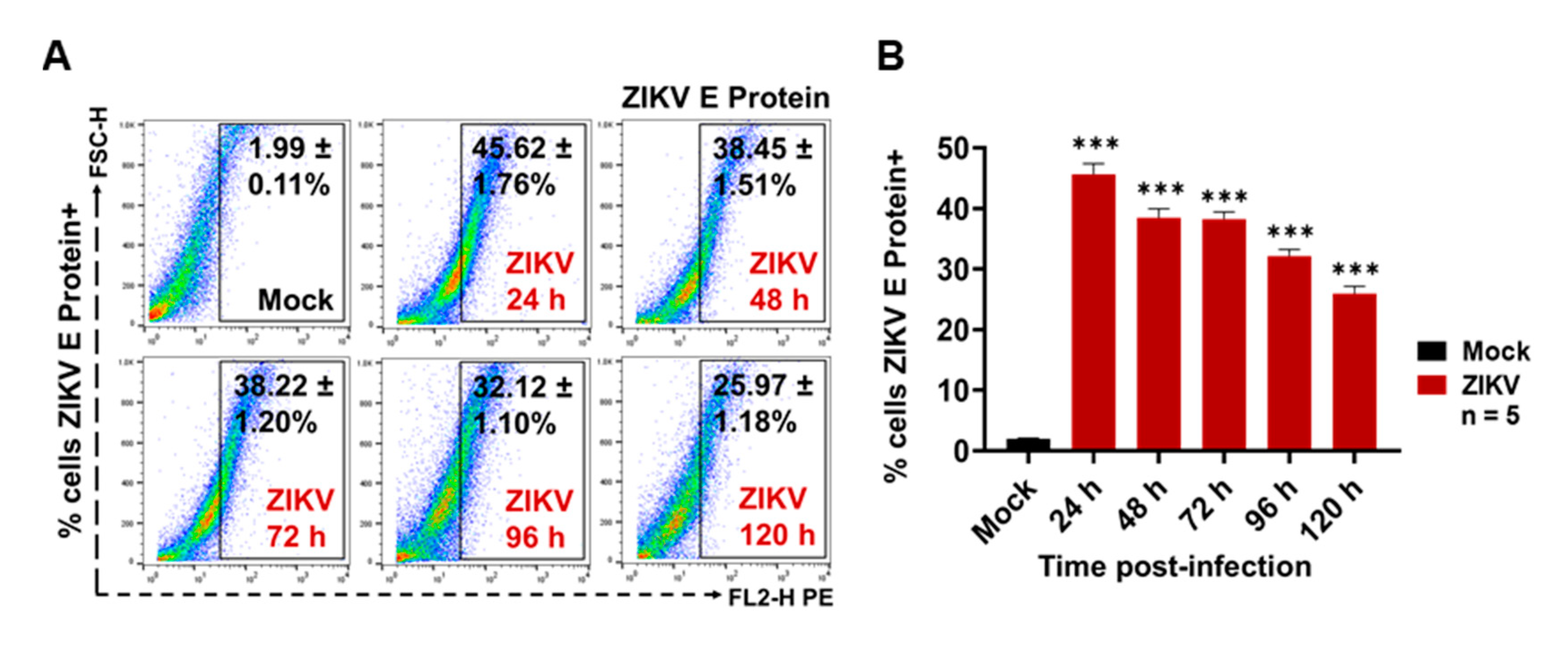 Cells 09 00123 g009 Cells 09 00123 g009