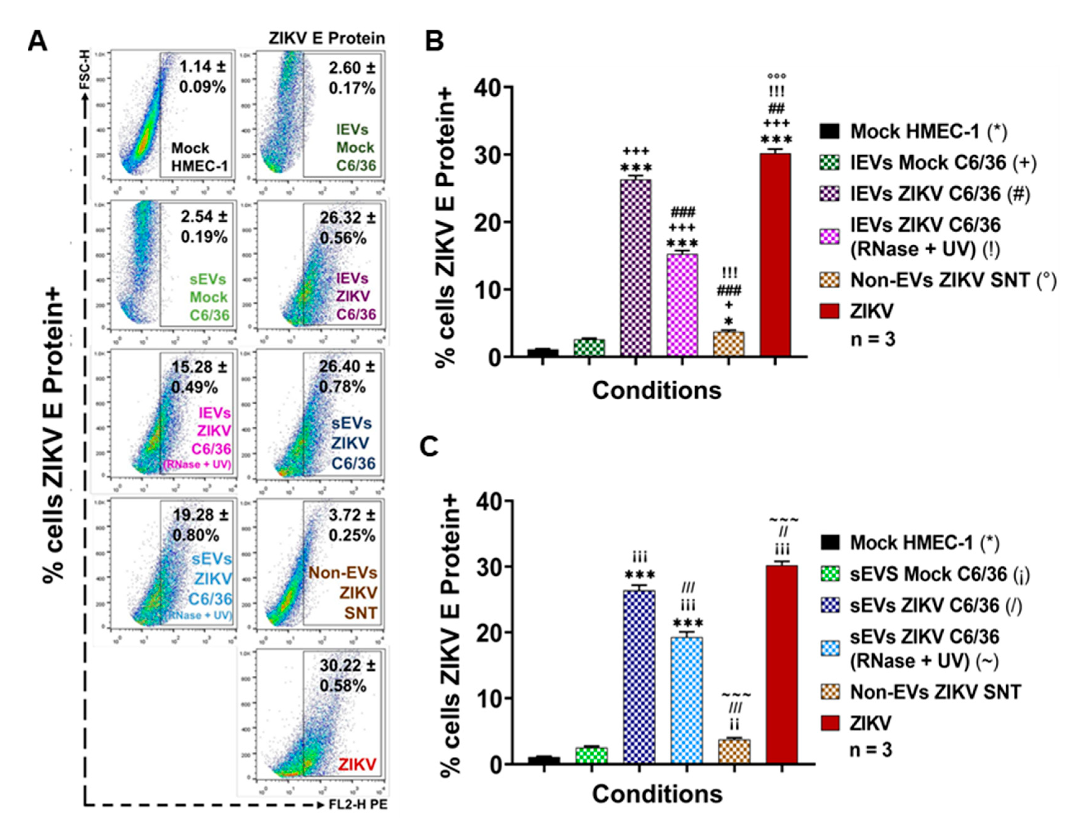 Cells 09 00123 g010 Cells 09 00123 g010