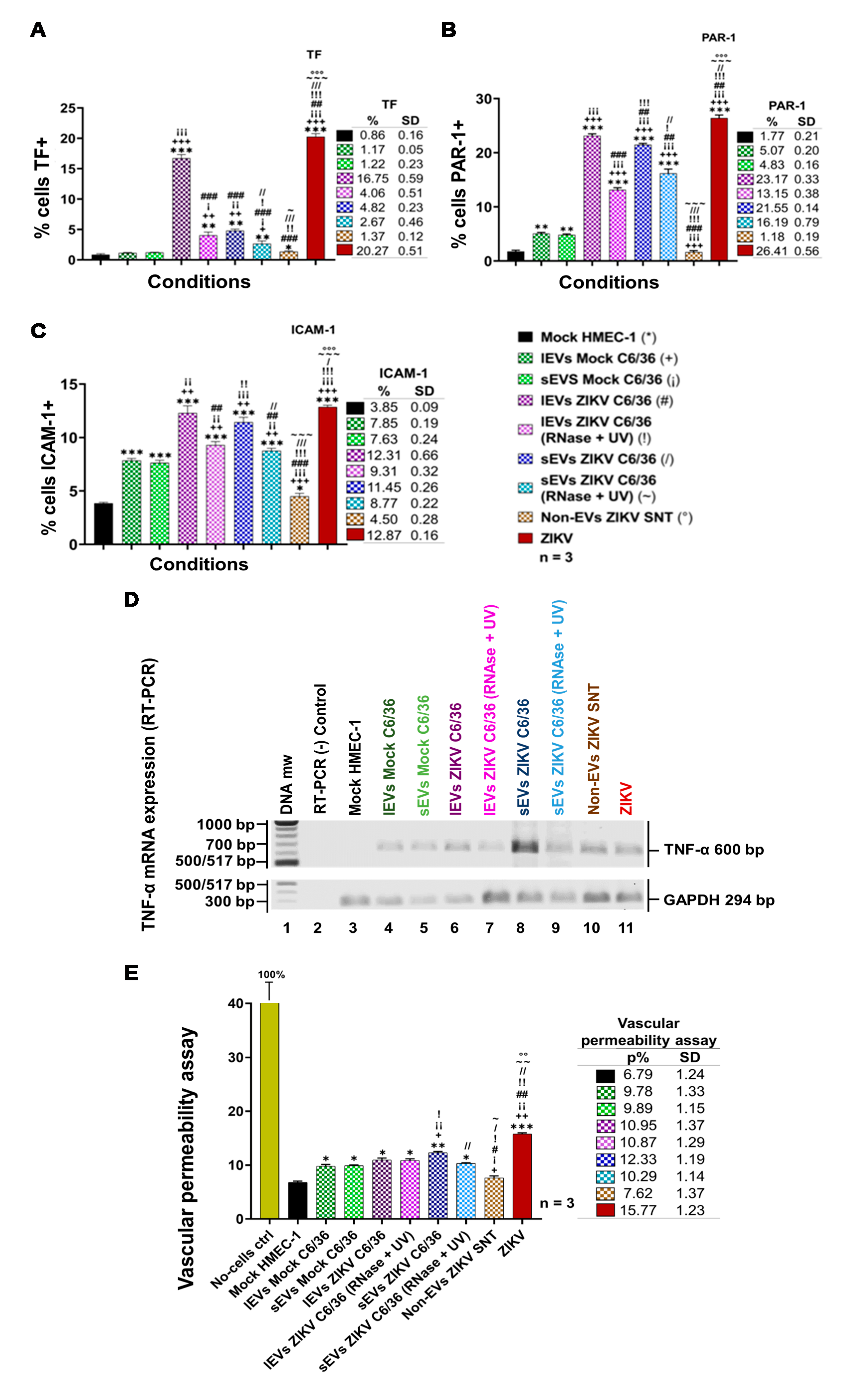 Cells 09 00123 g011 Cells 09 00123 g011
