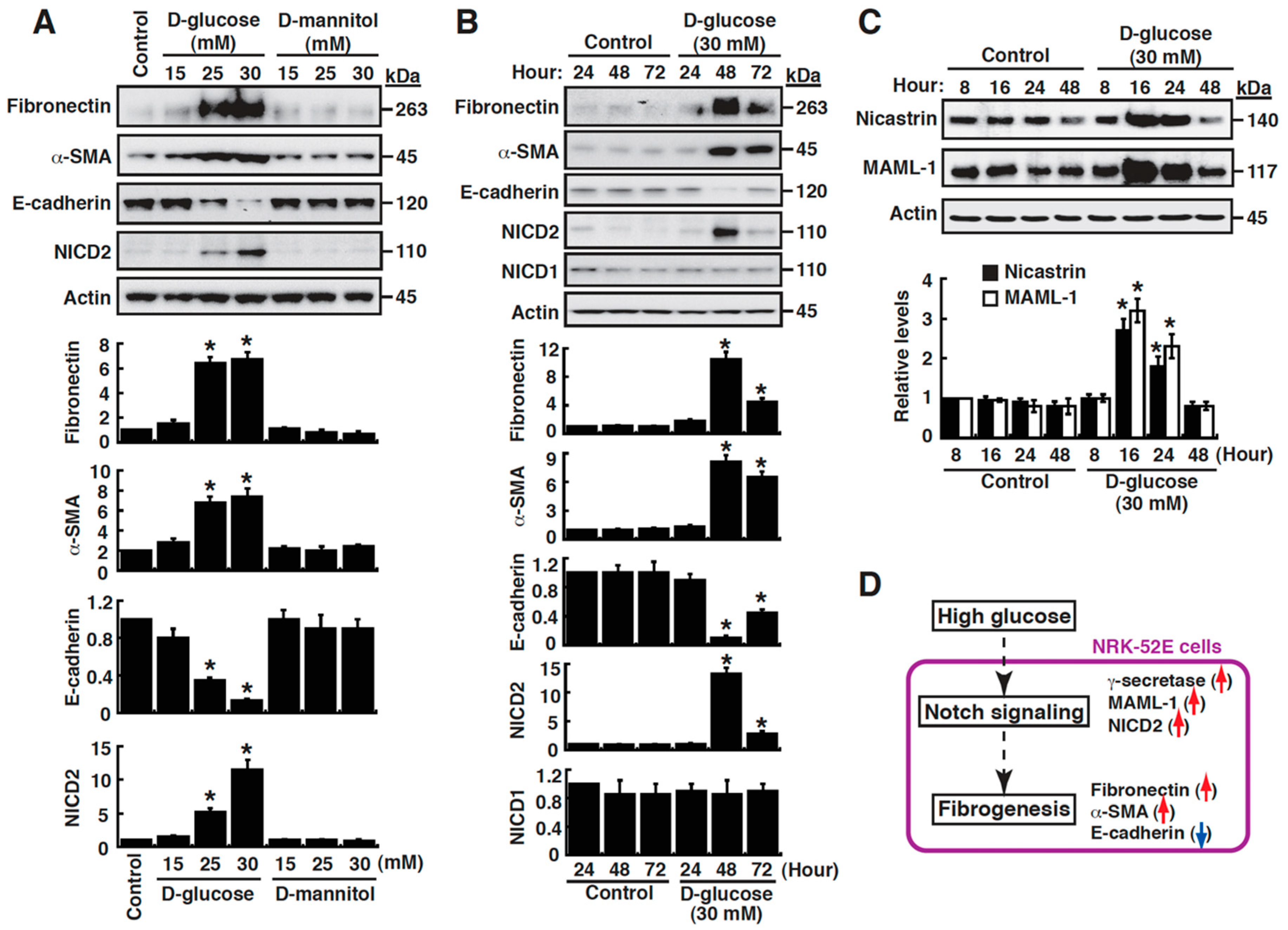 Cells 09 00125 g001 Cells 09 00125 g001