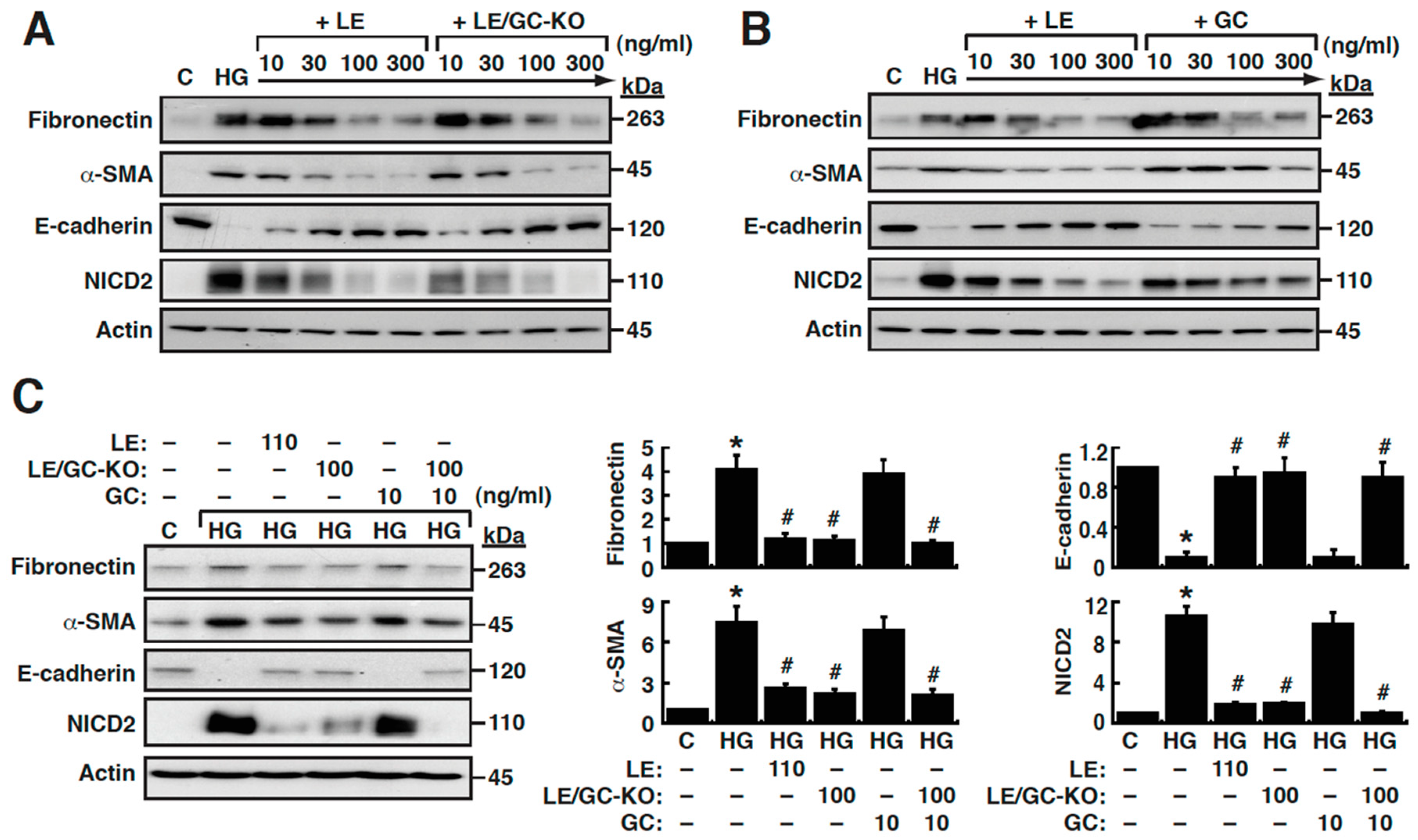 Cells 09 00125 g003 Cells 09 00125 g003