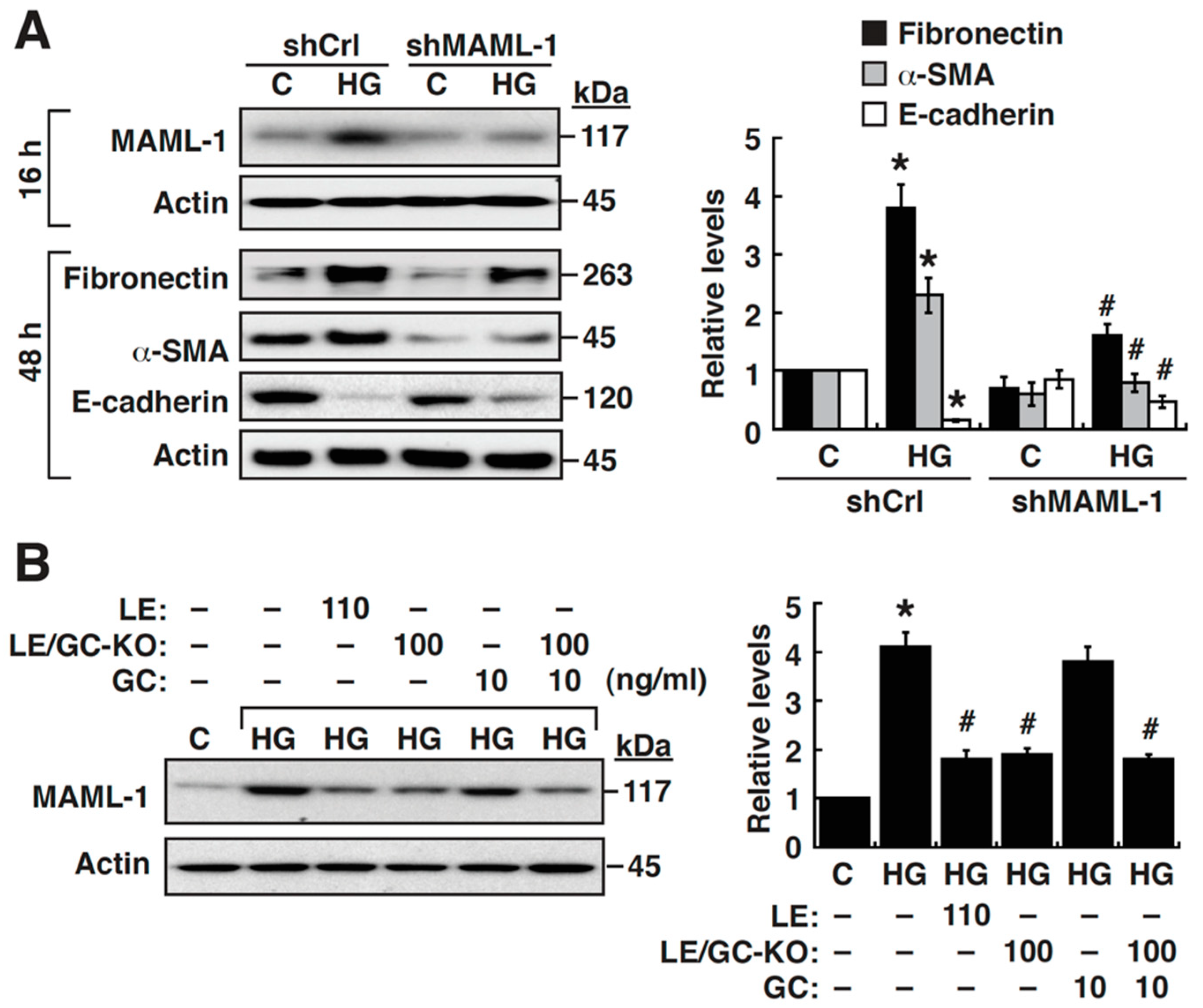 Cells 09 00125 g004 Cells 09 00125 g004