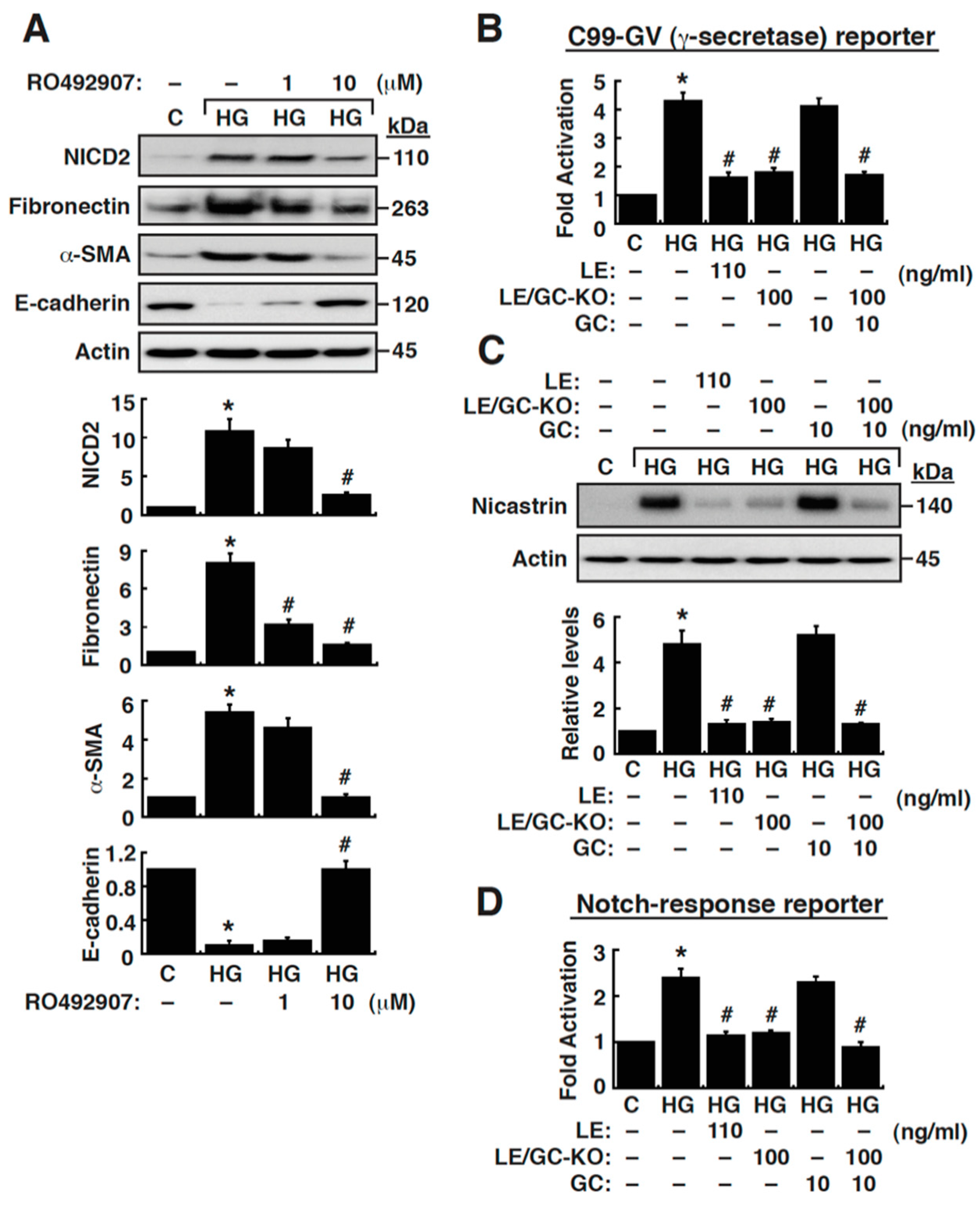 Cells 09 00125 g005 Cells 09 00125 g005