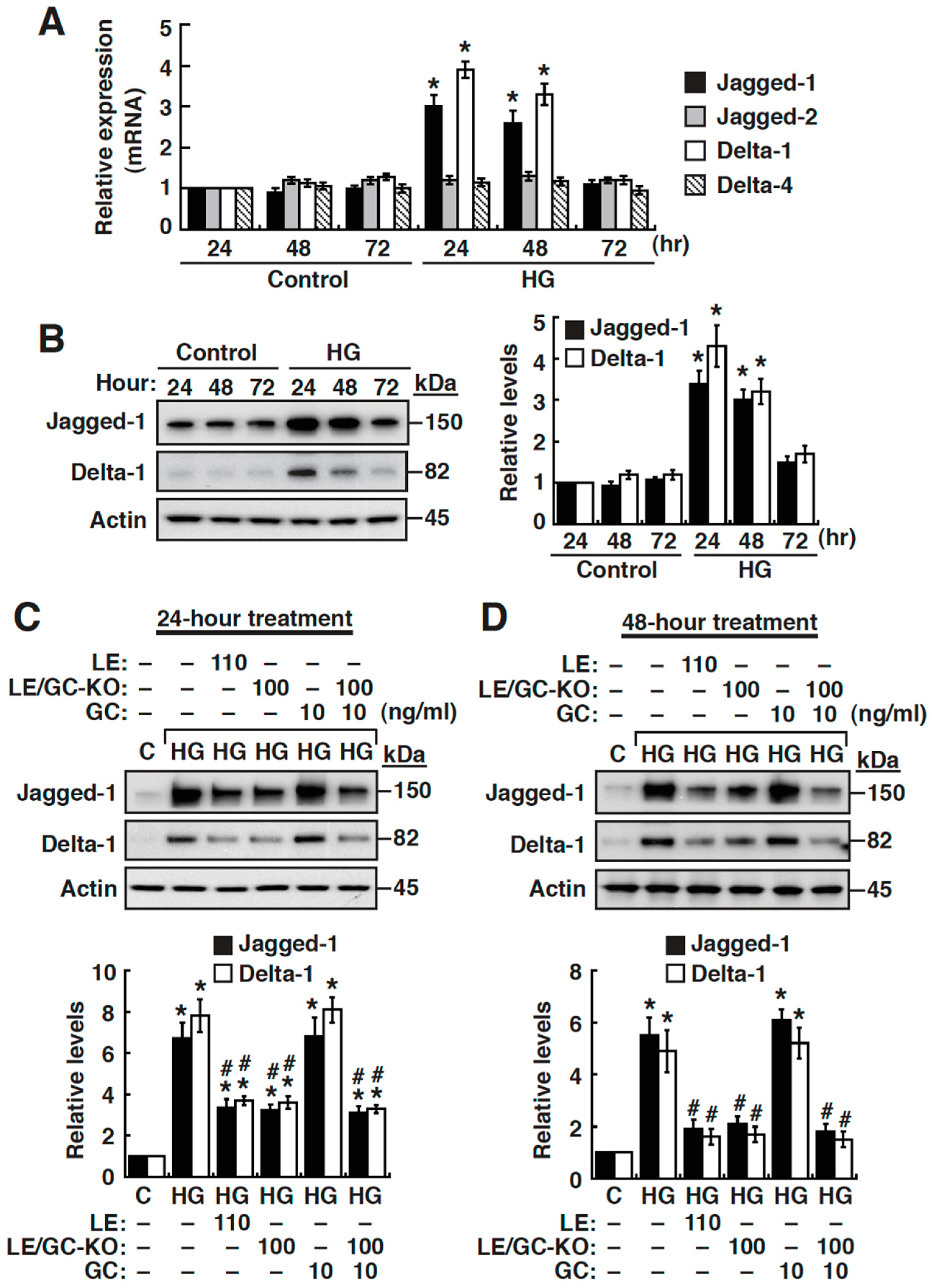 Cells 09 00125 g007 Cells 09 00125 g007