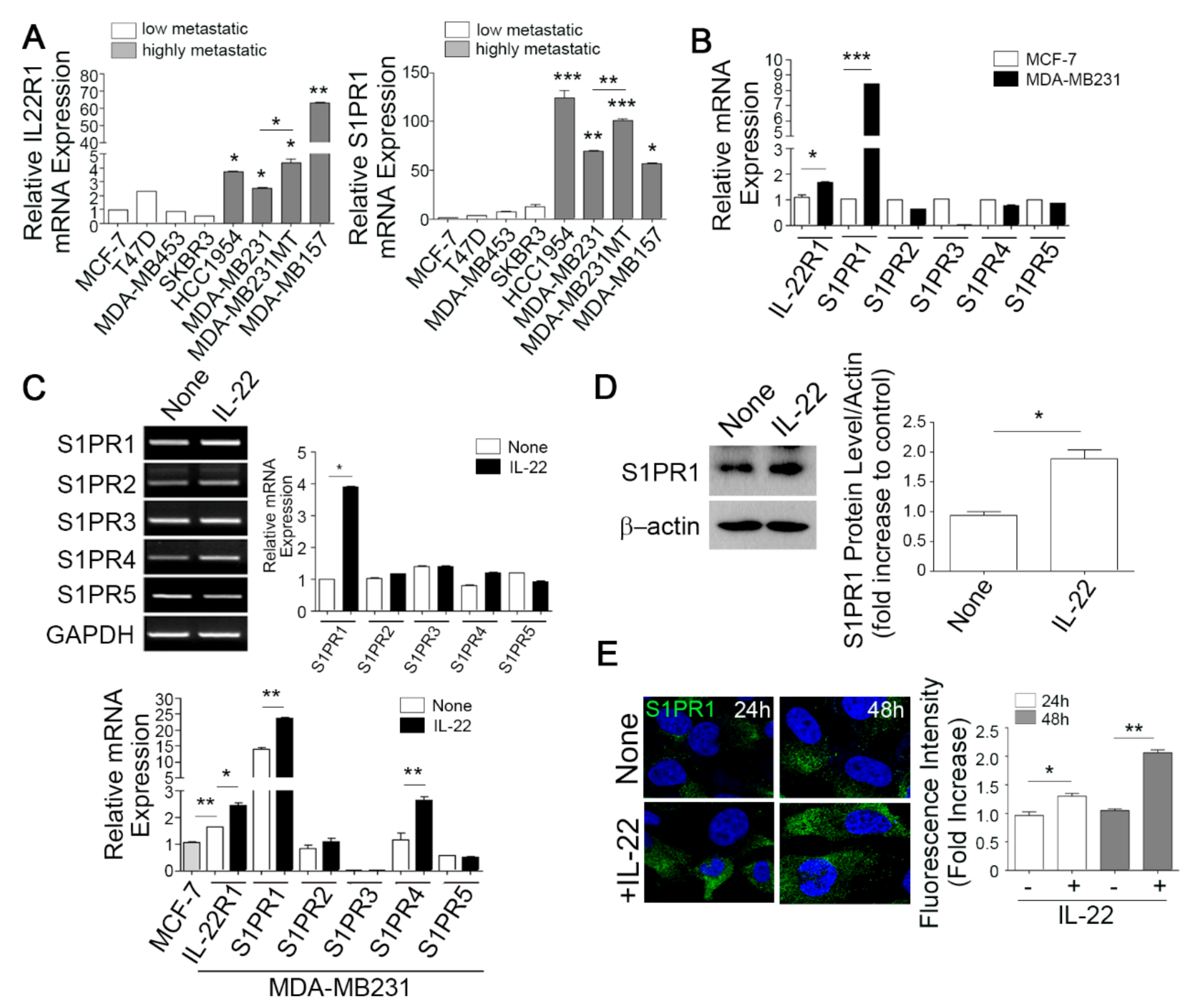 Cells 09 00131 g002 Cells 09 00131 g002