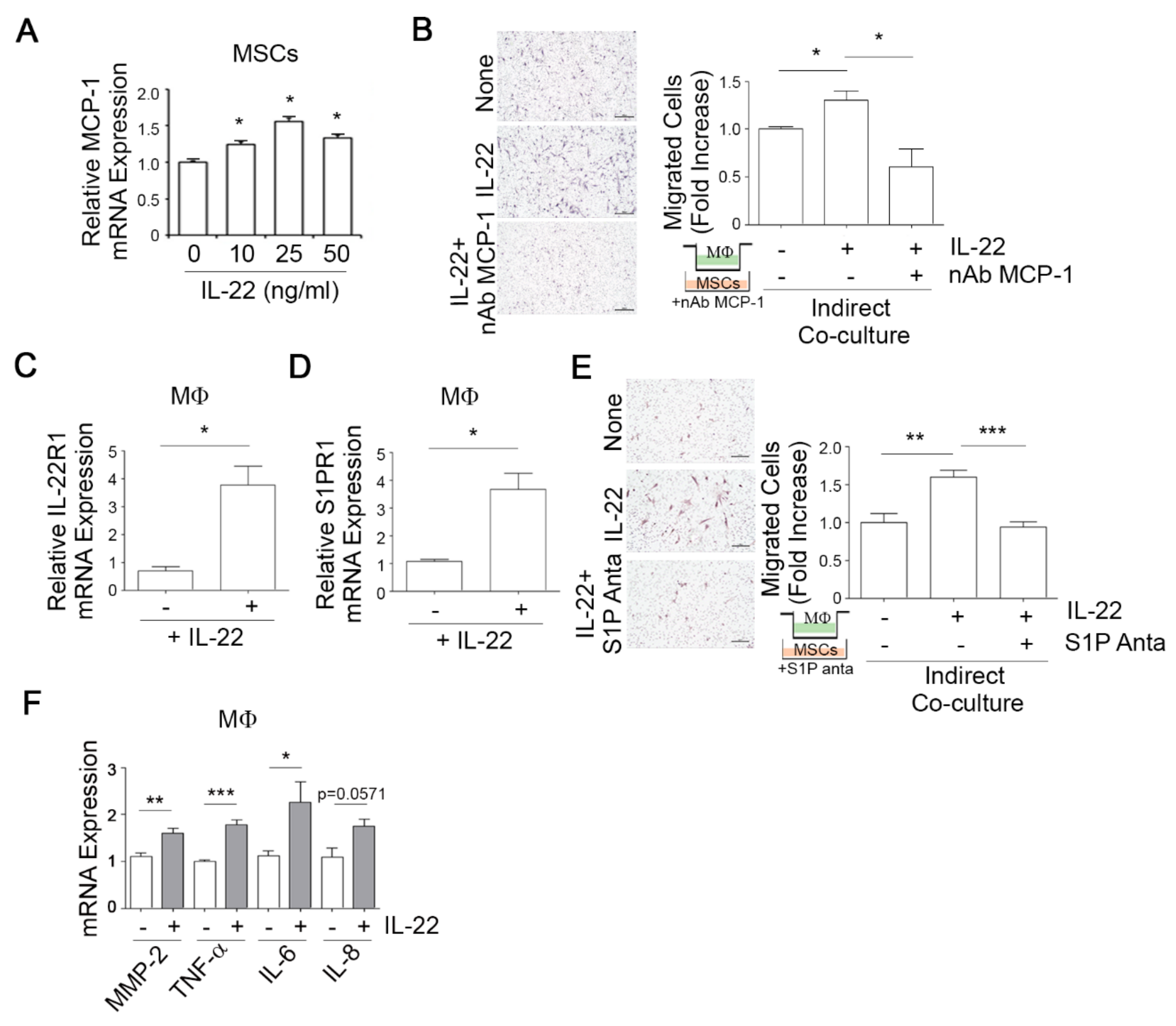 Cells 09 00131 g004 Cells 09 00131 g004
