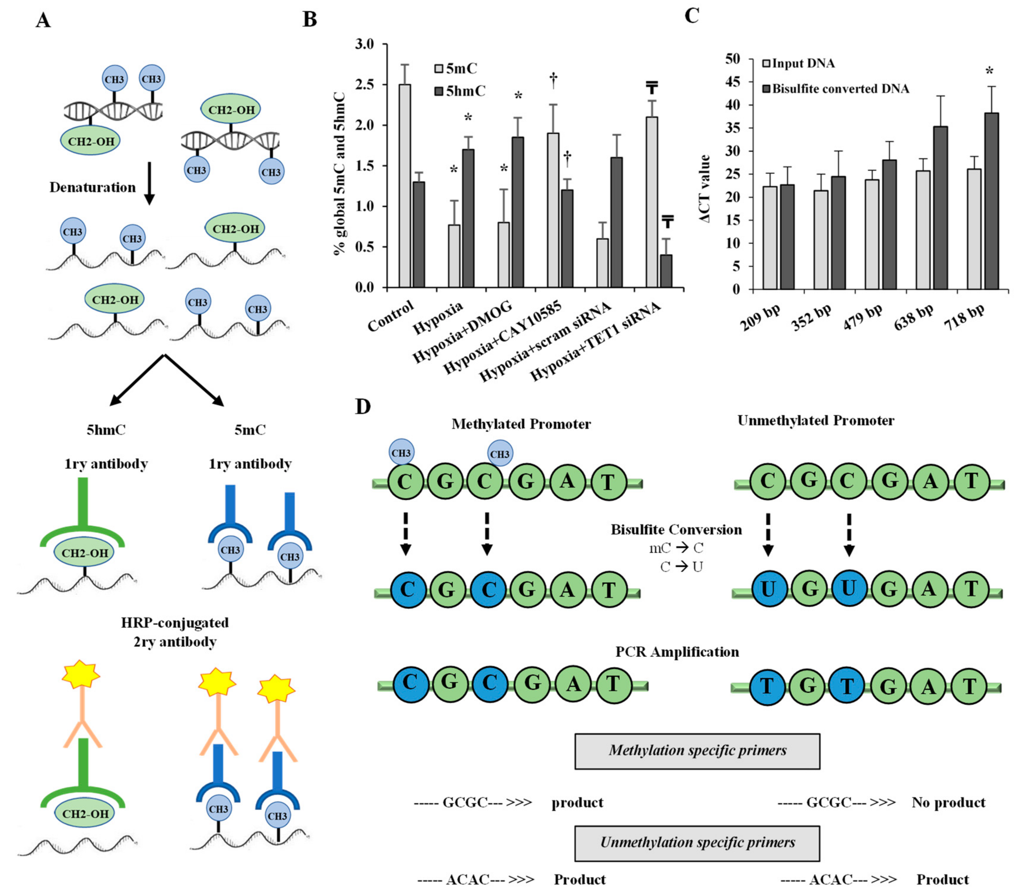 Cells 09 00134 g003 Cells 09 00134 g003