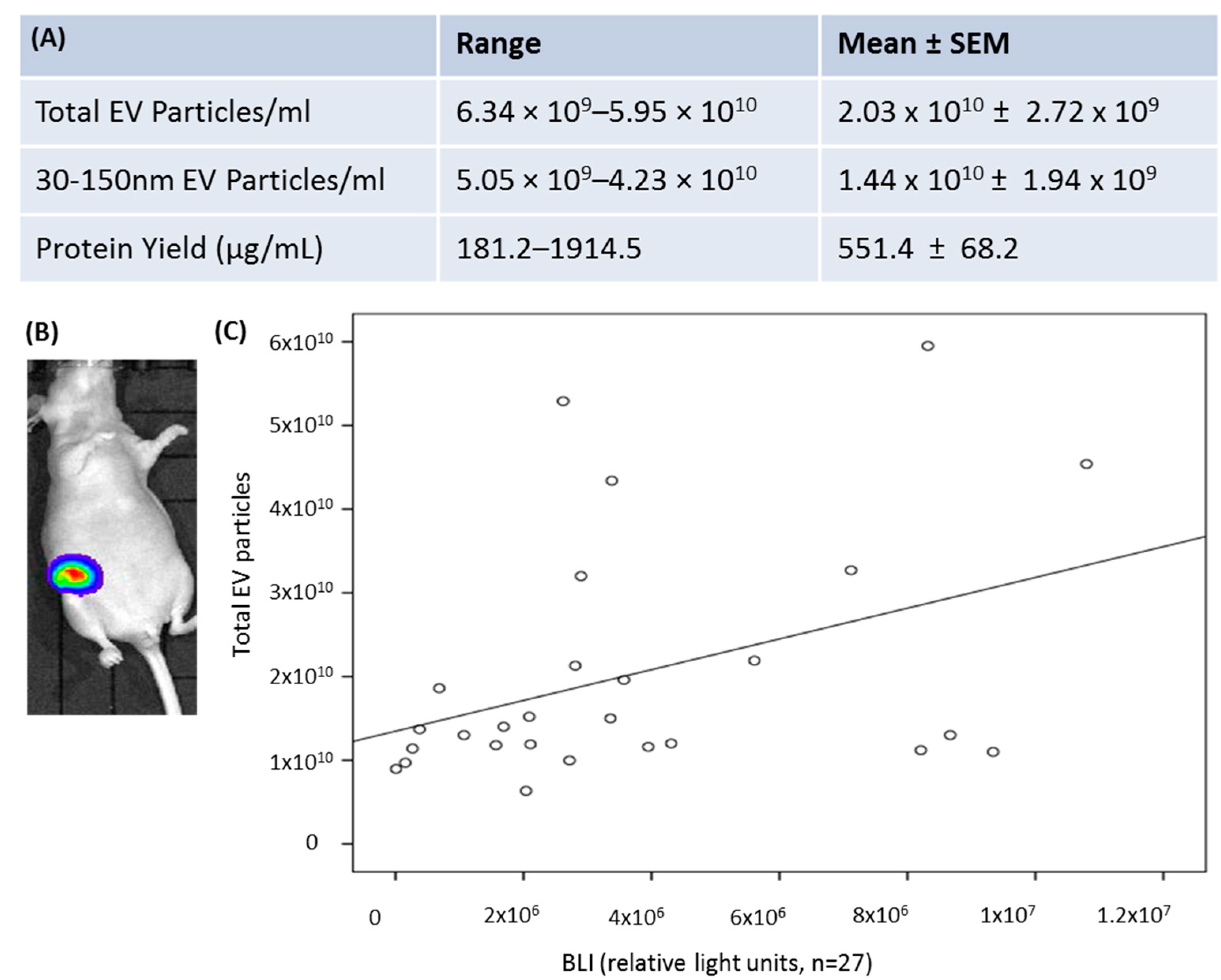 Cells 09 00141 g003 Cells 09 00141 g003