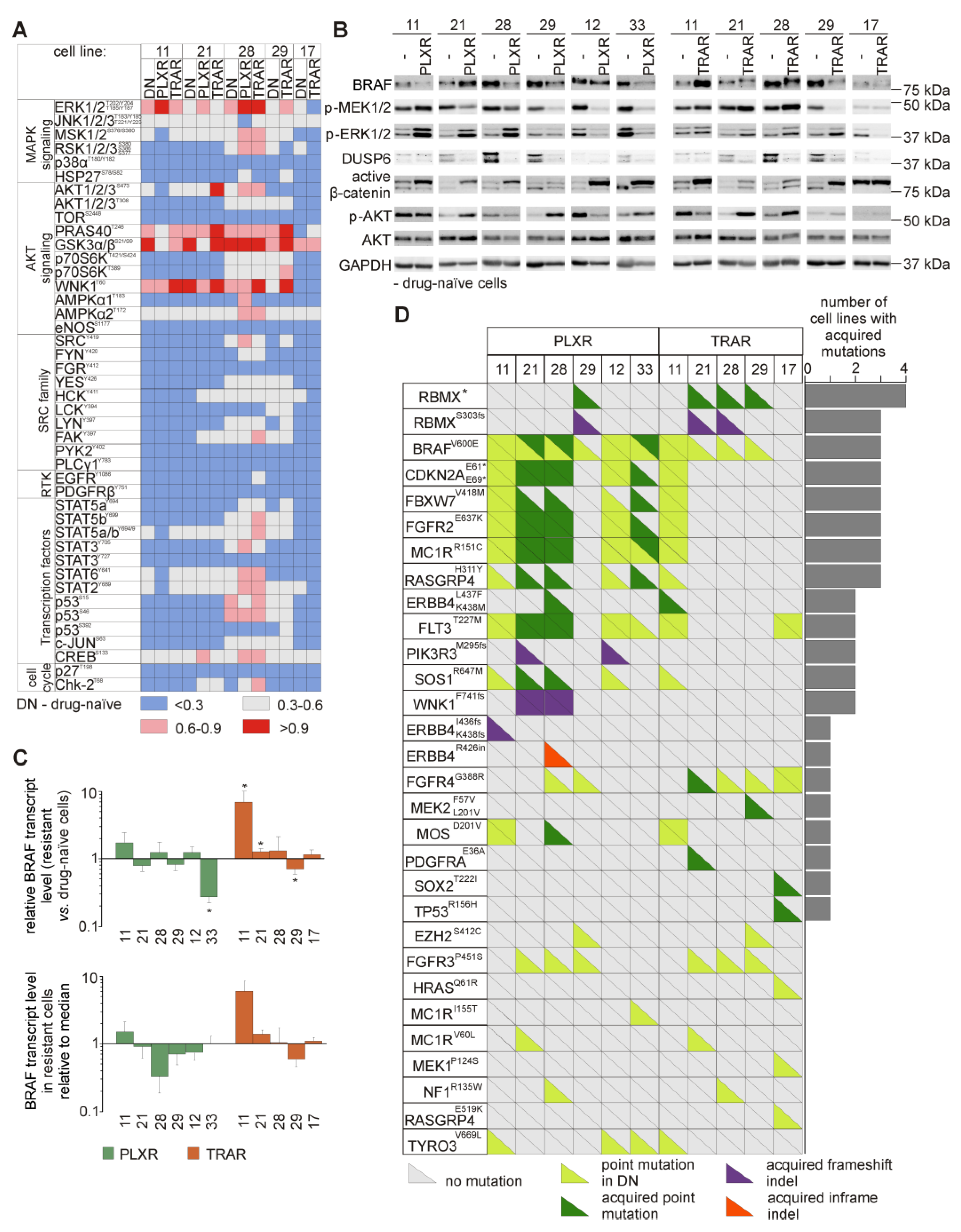 Cells 09 00142 g003 Cells 09 00142 g003