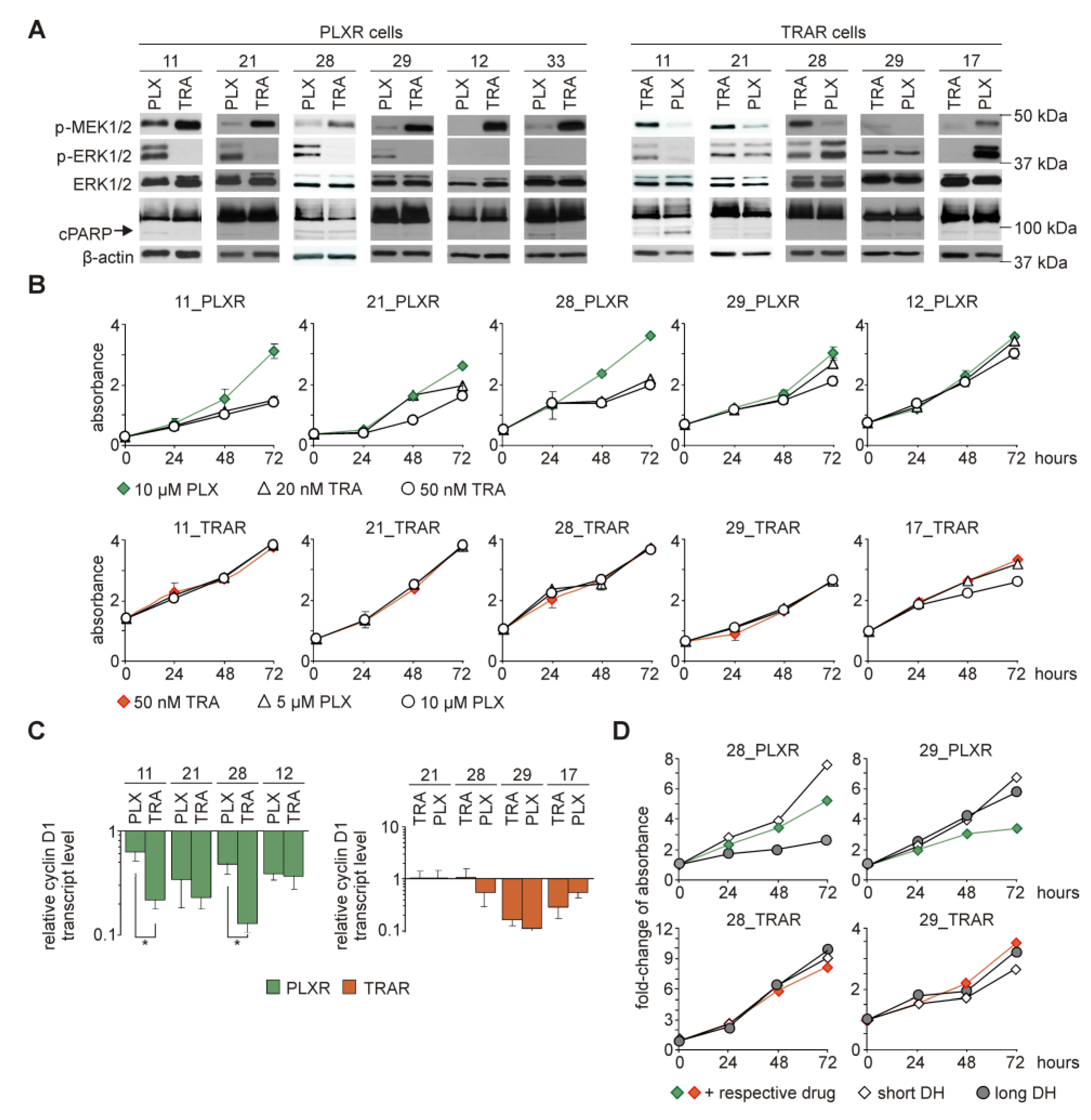 Cells 09 00142 g005 Cells 09 00142 g005