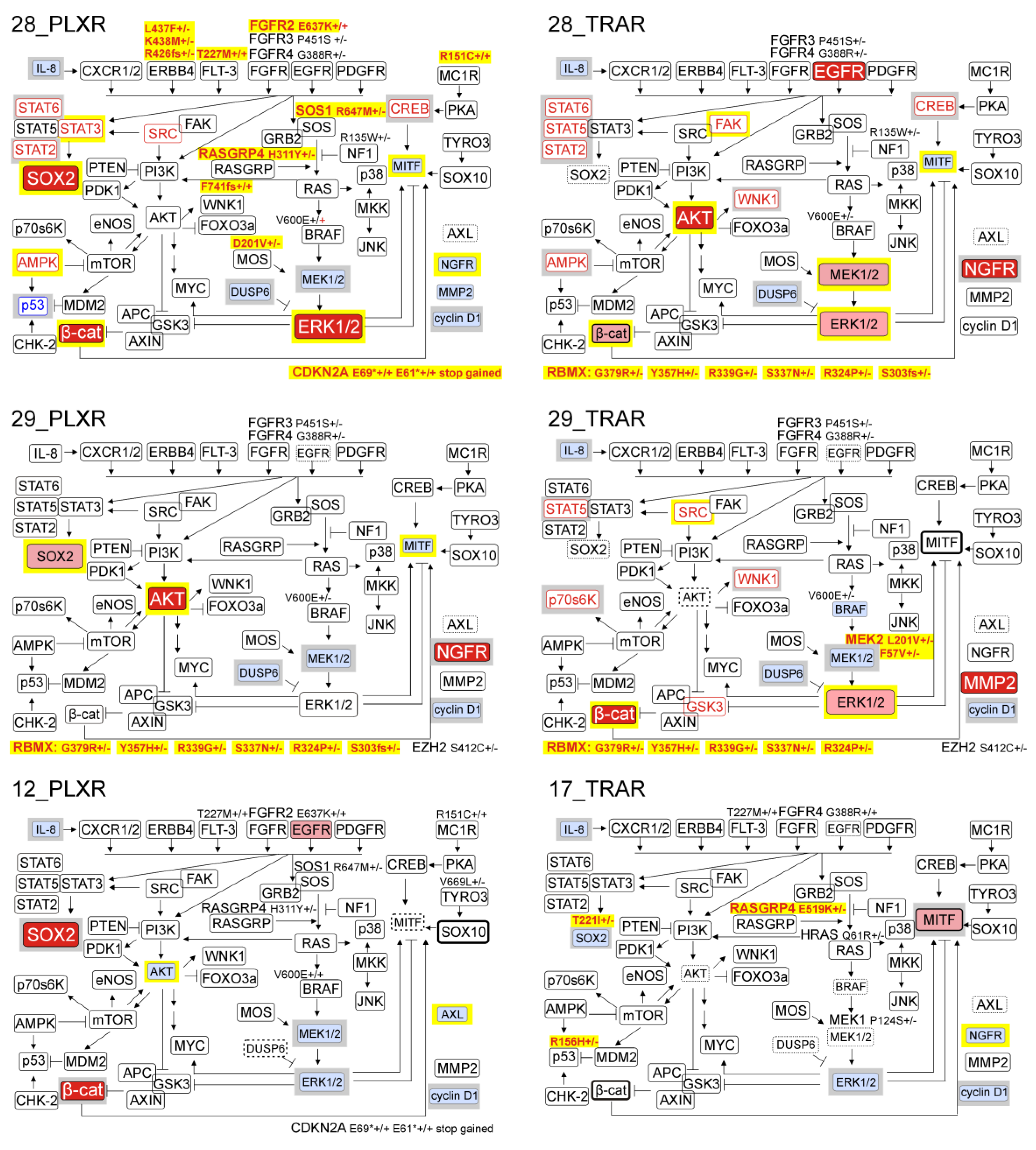 Cells 09 00142 g007 Cells 09 00142 g007