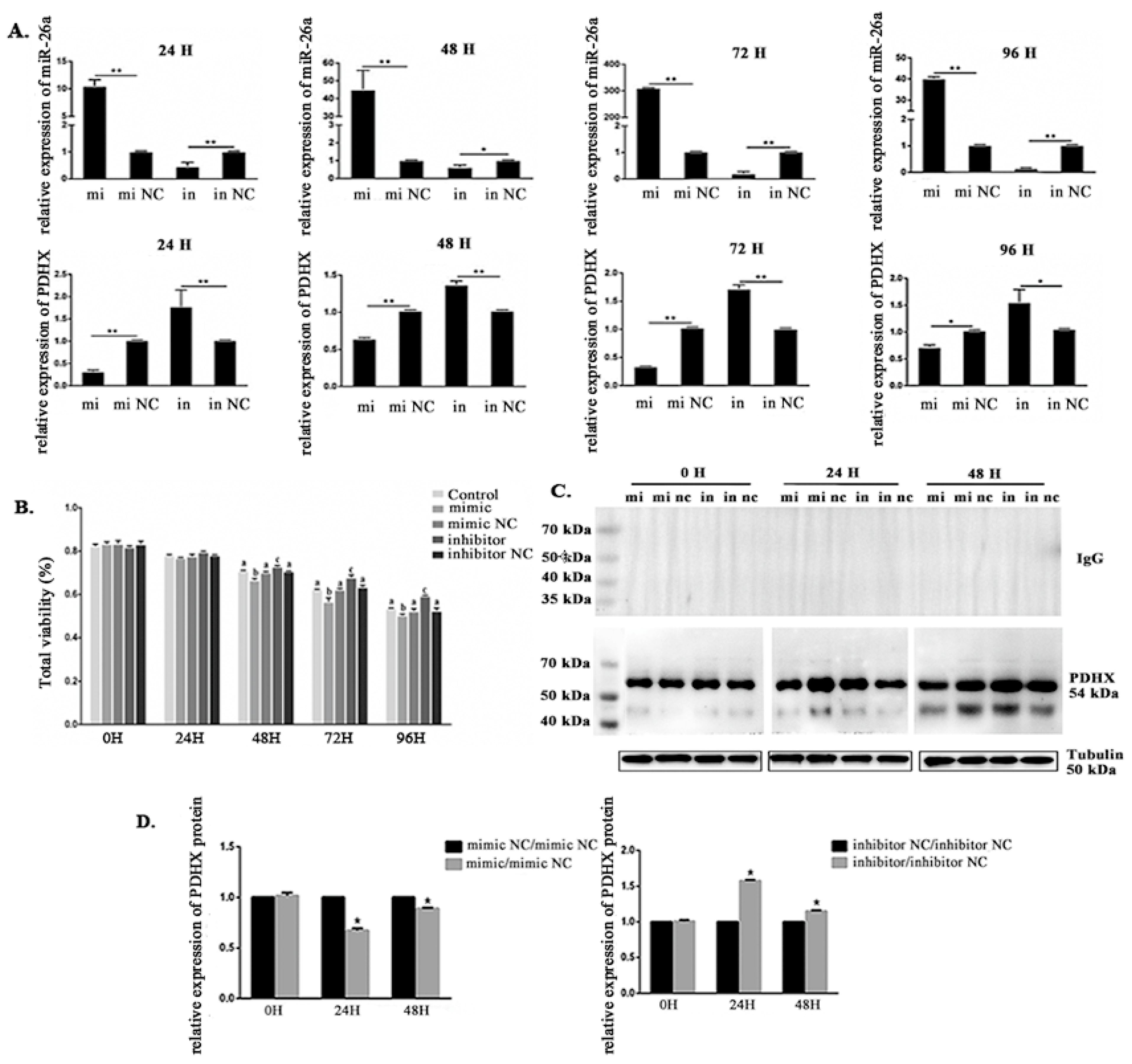 miR-26a is Involved in Glycometabolism and Affects Boar