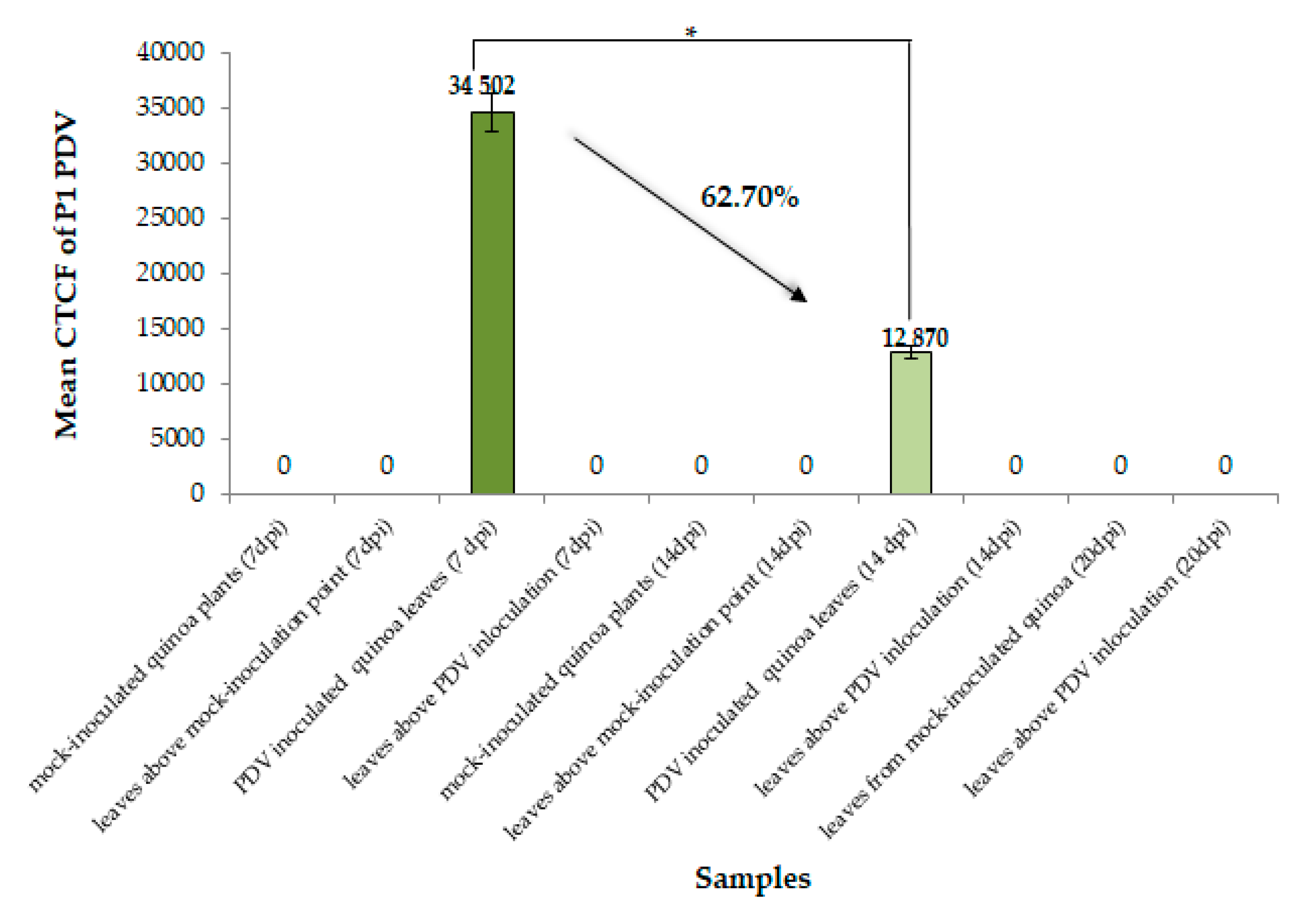 Cells 09 00148 g002 Cells 09 00148 g002